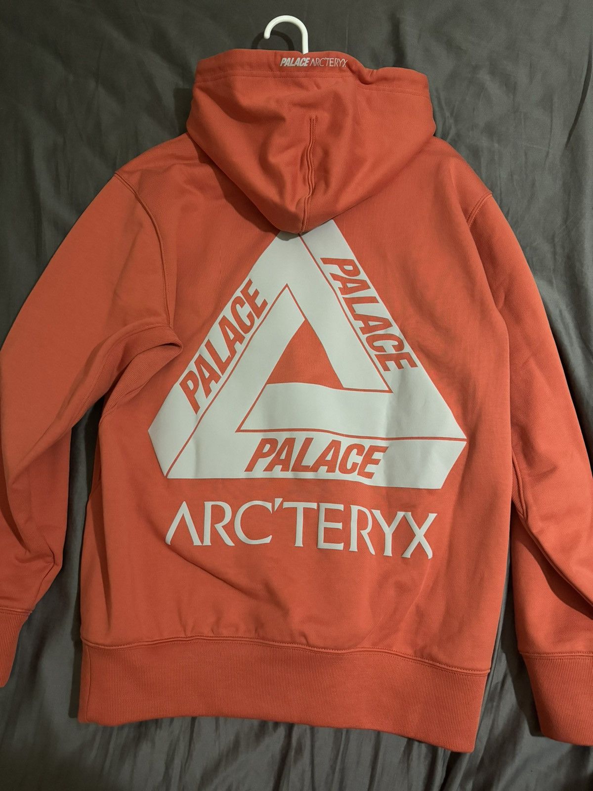 Arc'Teryx × Palace Palace Arc’teryx Hoodie | Grailed