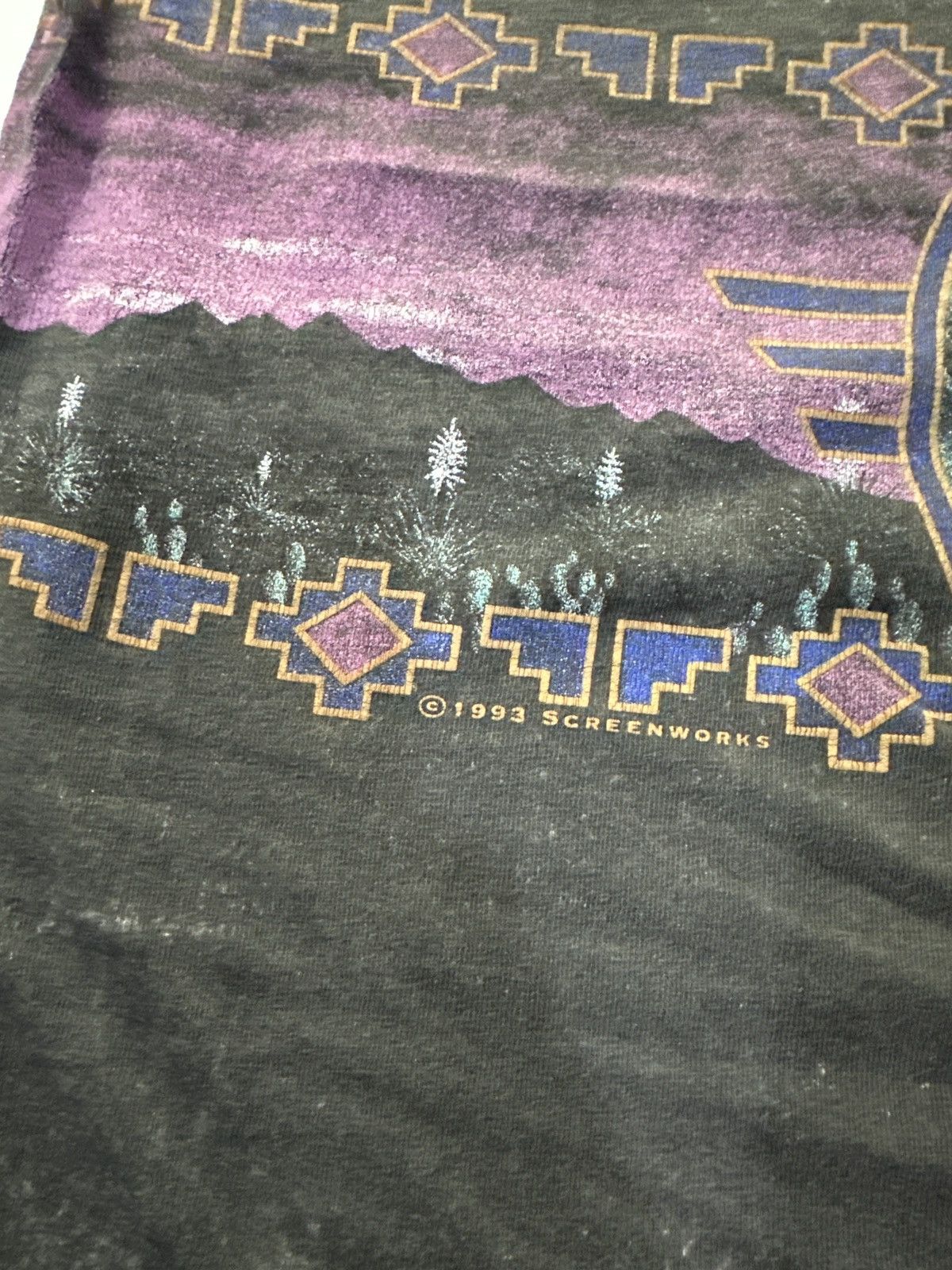 Tultex Thrashed Vintage Palm Canyon Resort Borrego Springs Faded T Size US XL / EU 56 / 4 - 8 Thumbnail