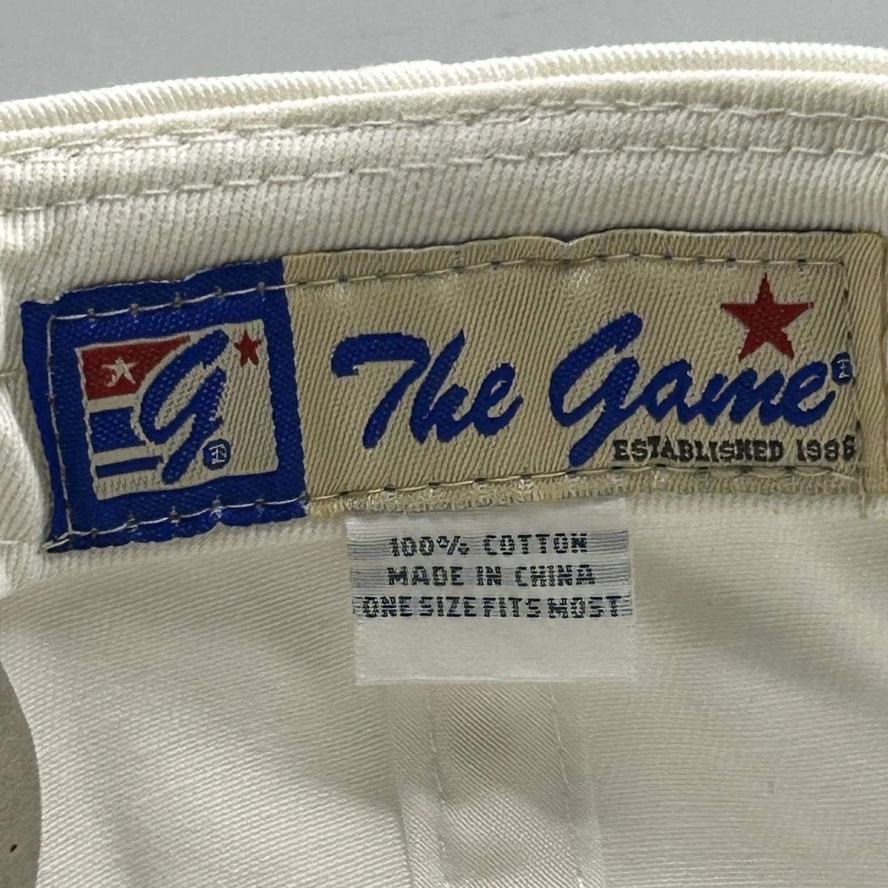 The Game Georgia Southern Eagles Hat Men White Snap Back Cotton Size ONE SIZE - 4 Thumbnail