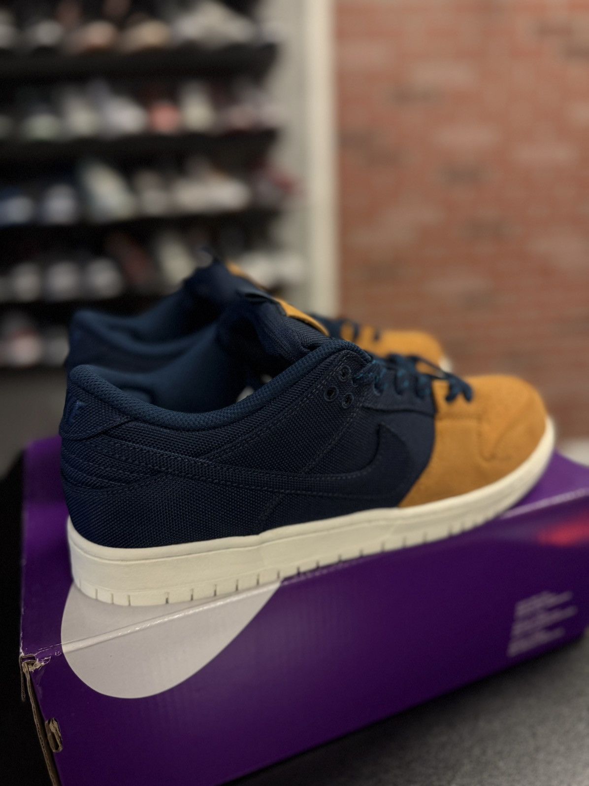 Nike SB Dunk Low 90's Backpack Size 10.5 (NEW)