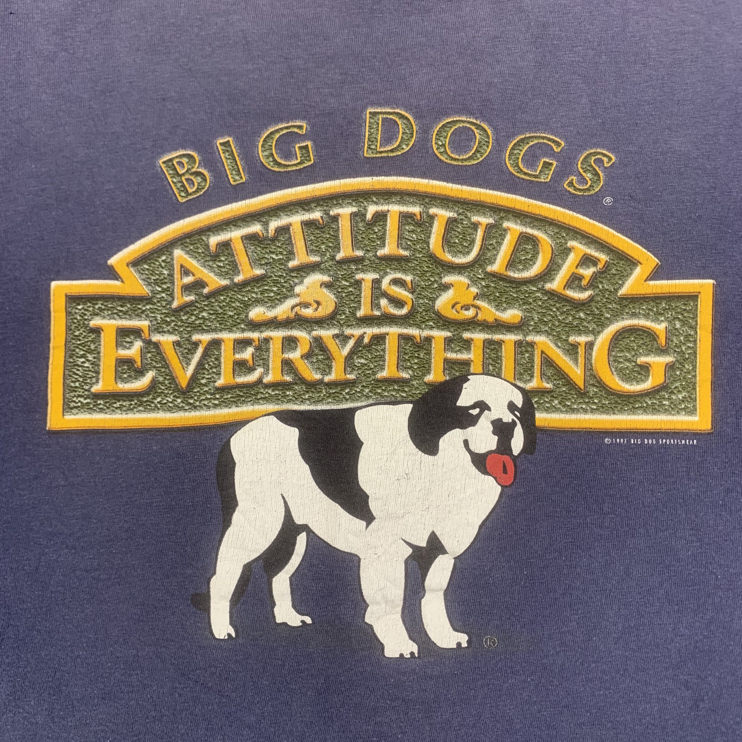 Big Dogs Big Dogs Sportswear 1997 Shirt - R018 Size US L / EU 52-54 / 3 - 4 Thumbnail
