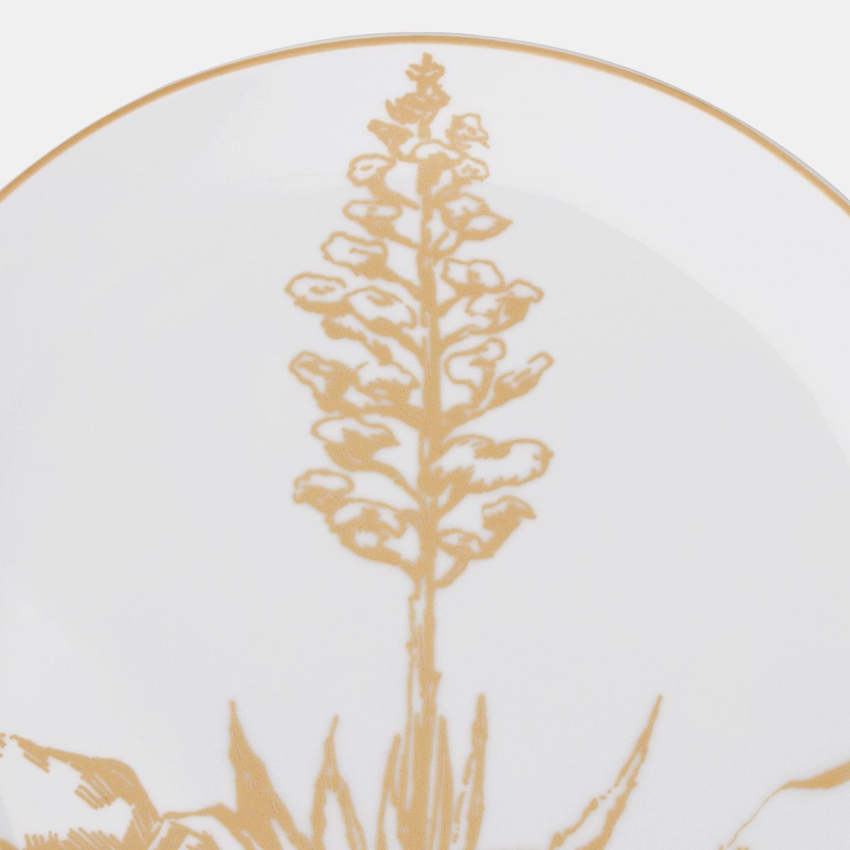 Dior o1bcso1str0624 Size: OS / 6 Set Dinner Plates in Multicolor Size ONE SIZE - 9 Thumbnail