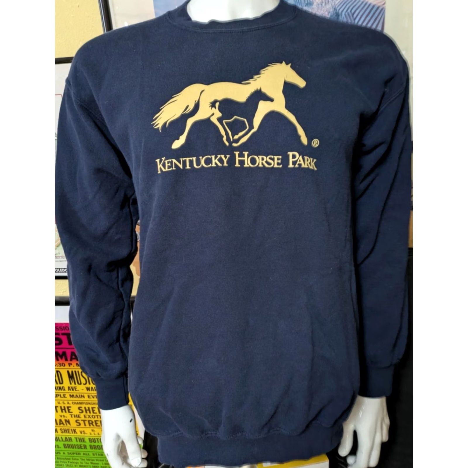 Gildan VTG Kentucky Horse Park Crewneck Sweatshirt M Unisex Adults Blue 80s 90s Horse Animals Retro Pullover Sweatshirt Hoodie Size US M / EU 48-50 / 2 - 2 Thumbnail