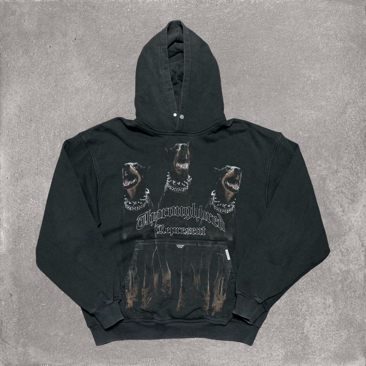 Represent Clo. Represent Large Thoroughbred Dog Vintage Black 