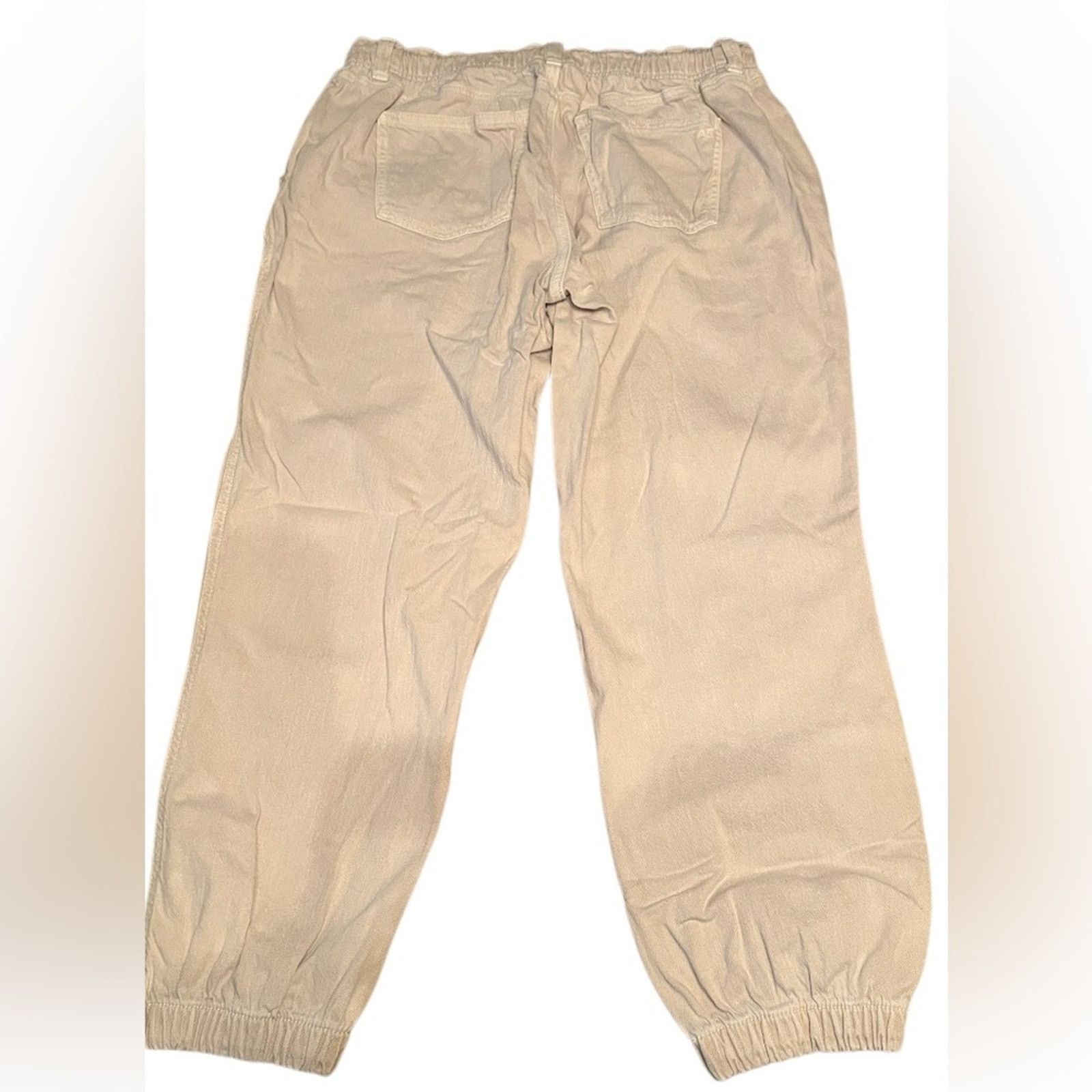 American Eagle Outfitters American Eagle Outfitters Tan Joggers, size 10 Size 32" / US 10 / IT 46 - 2 Thumbnail