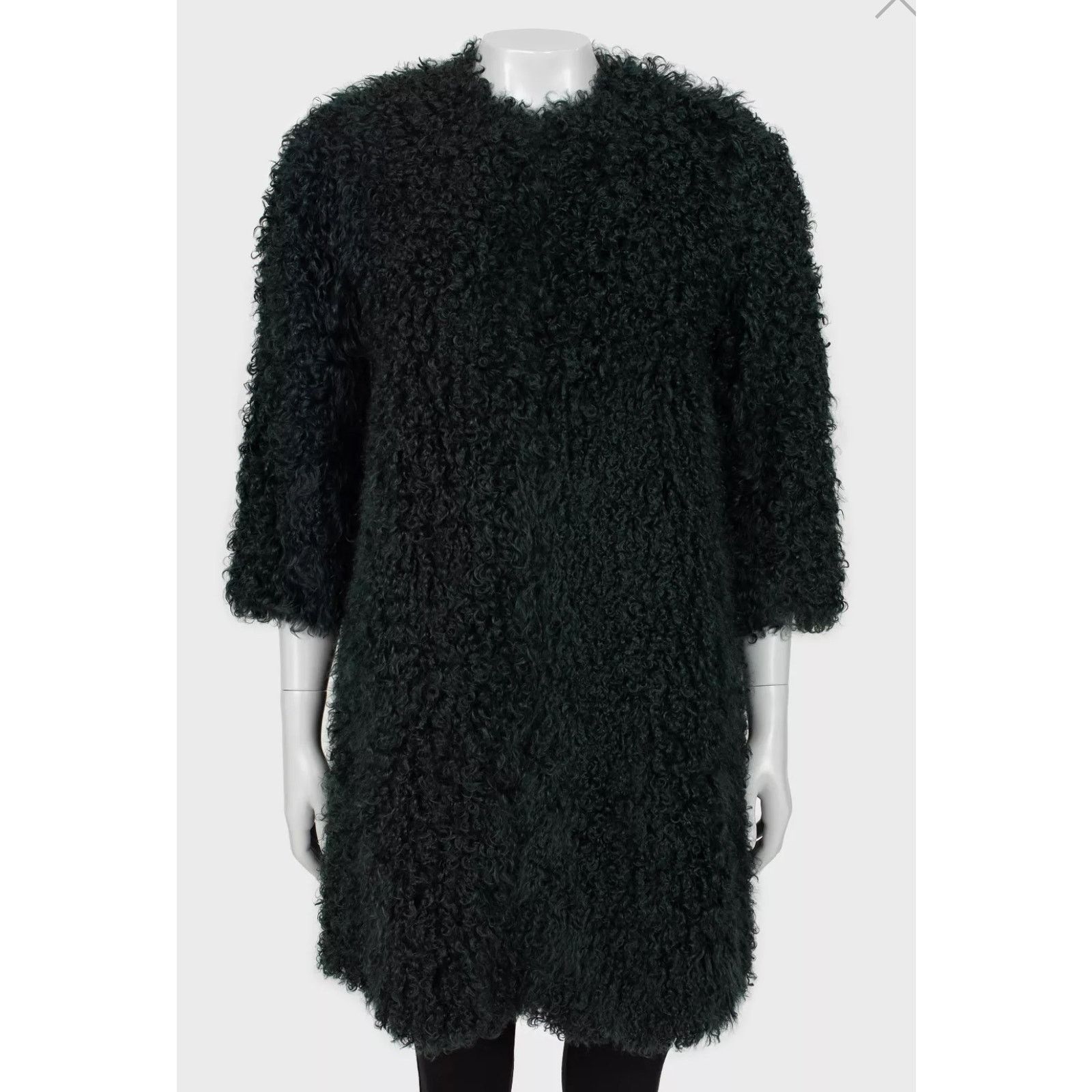 Max Mara Max Mara Dark Green Karakul Fur Coat - Size XS / IT38 Size XS / US 0-2 / IT 36-38 - 5 Thumbnail