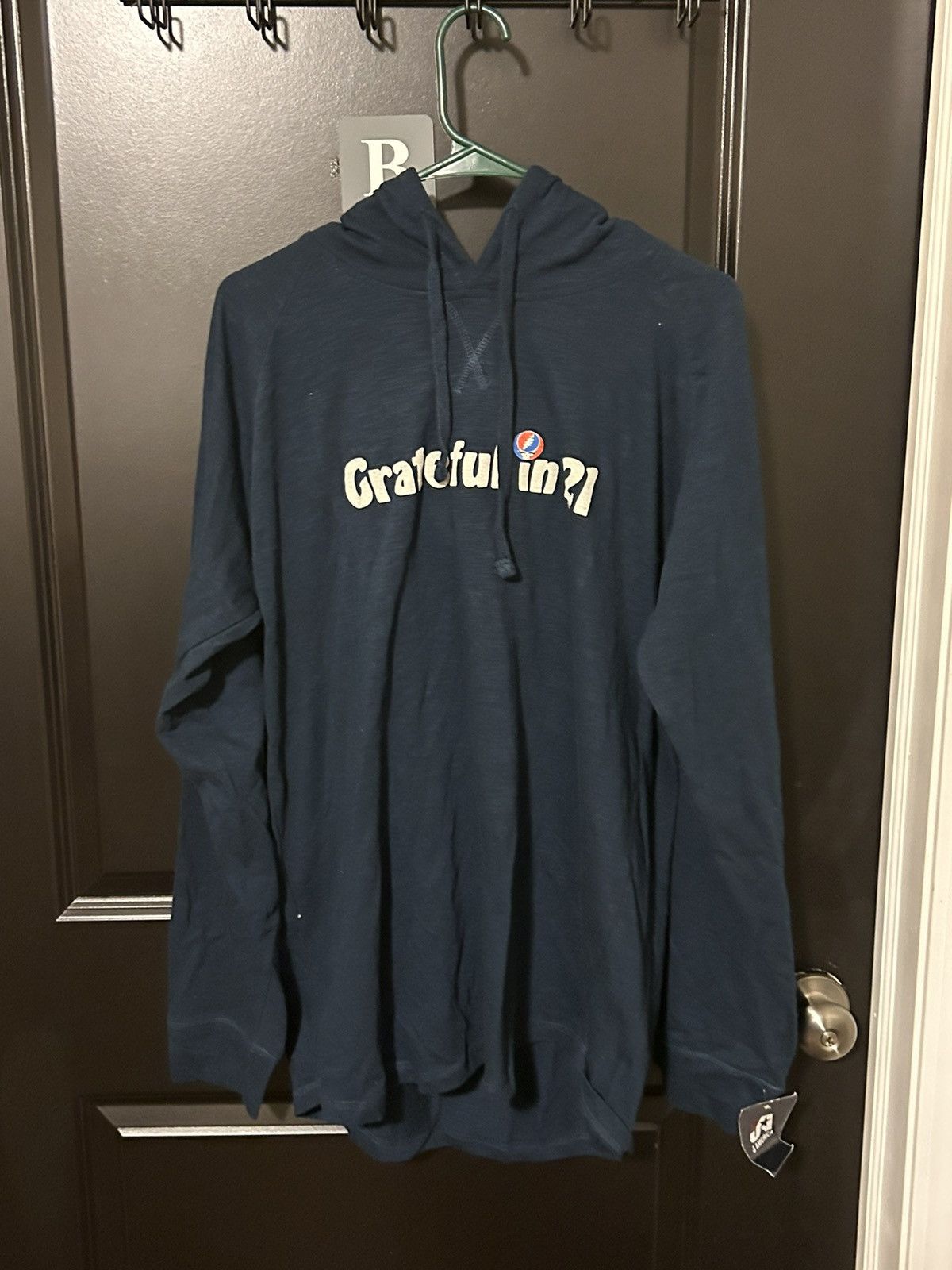 Grateful Dead Blue Grateful Dead Hoodie Size US L / EU 52-54 / 3 - 1 Thumbnail