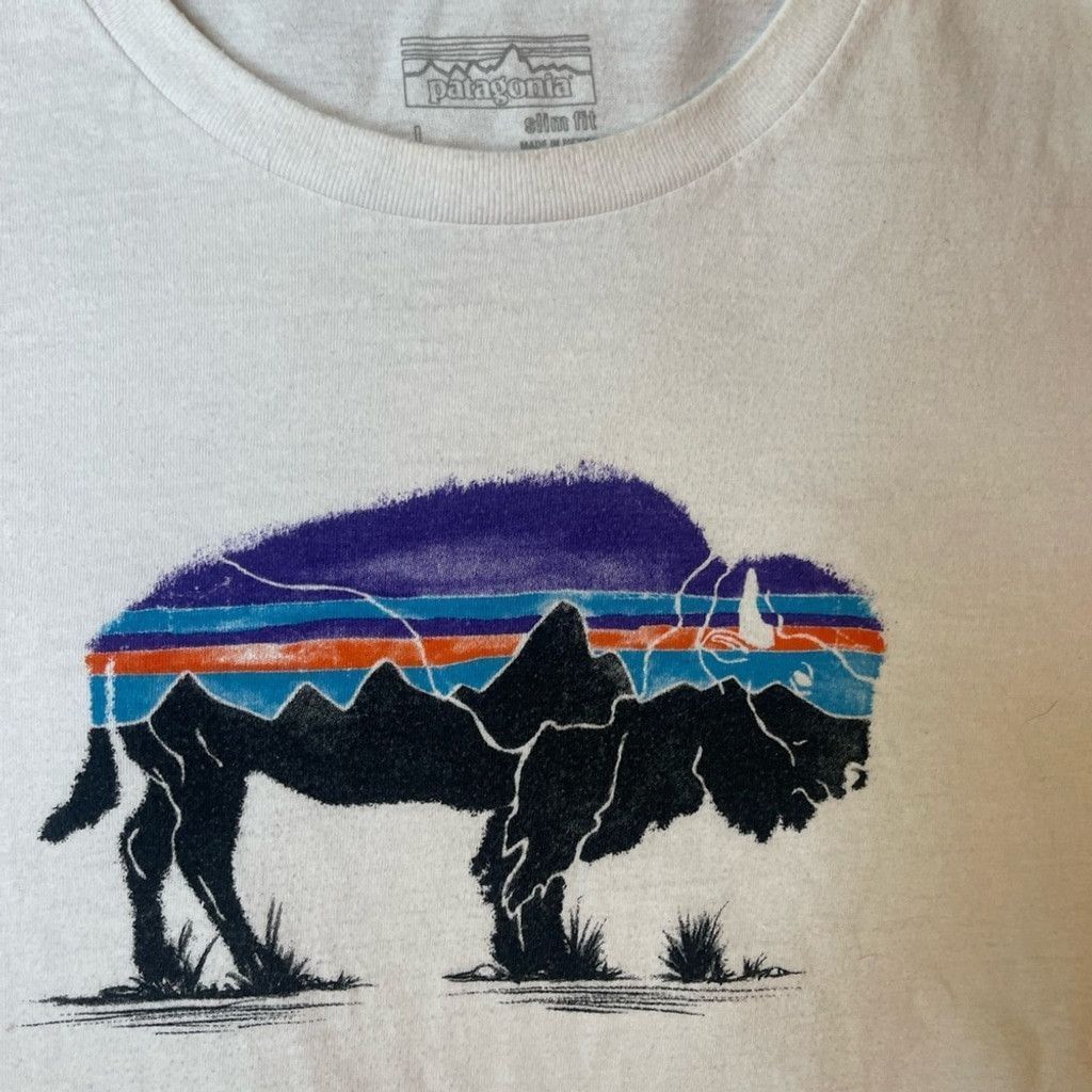 Patagonia Patagonia Buffalo Design size L w/small stain Size US L / EU 52-54 / 3 - 4 Thumbnail