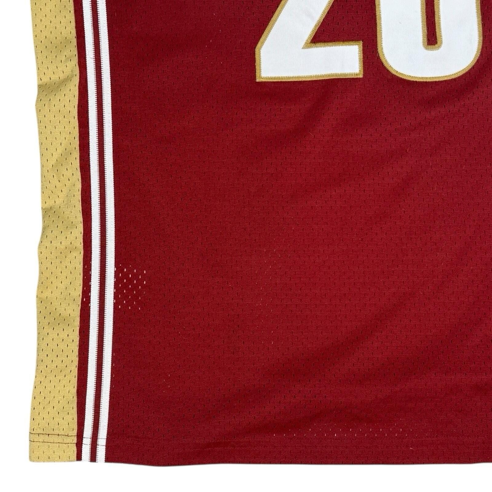 Nike 2003 Nike Lebron James Cleveland Cavaliers Jersey Swingman M Size ONE SIZE - 10 Thumbnail