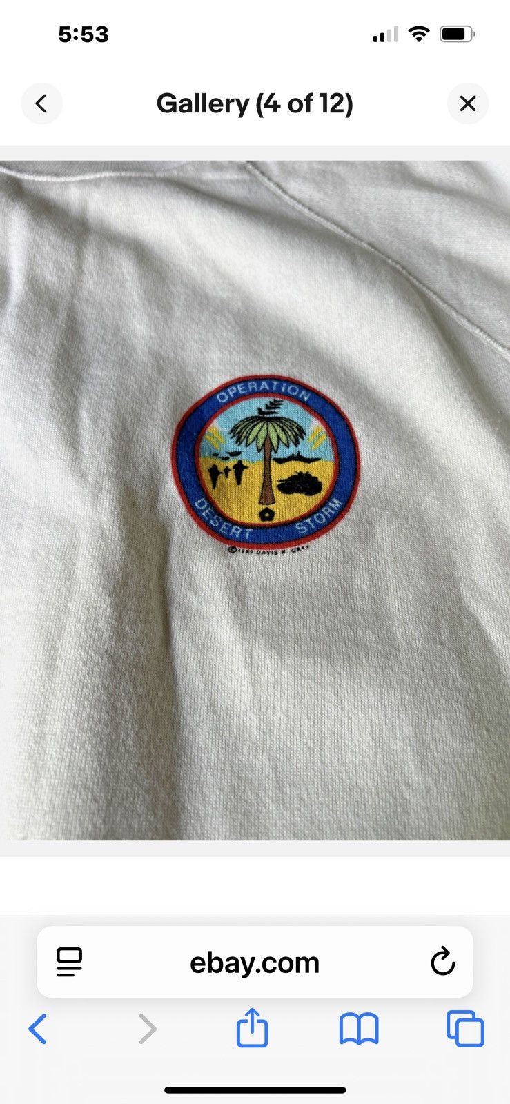 Hanes Operation Desert Storm Americans United Sweatshirt Size L Size US L / EU 52-54 / 3 - 4 Thumbnail