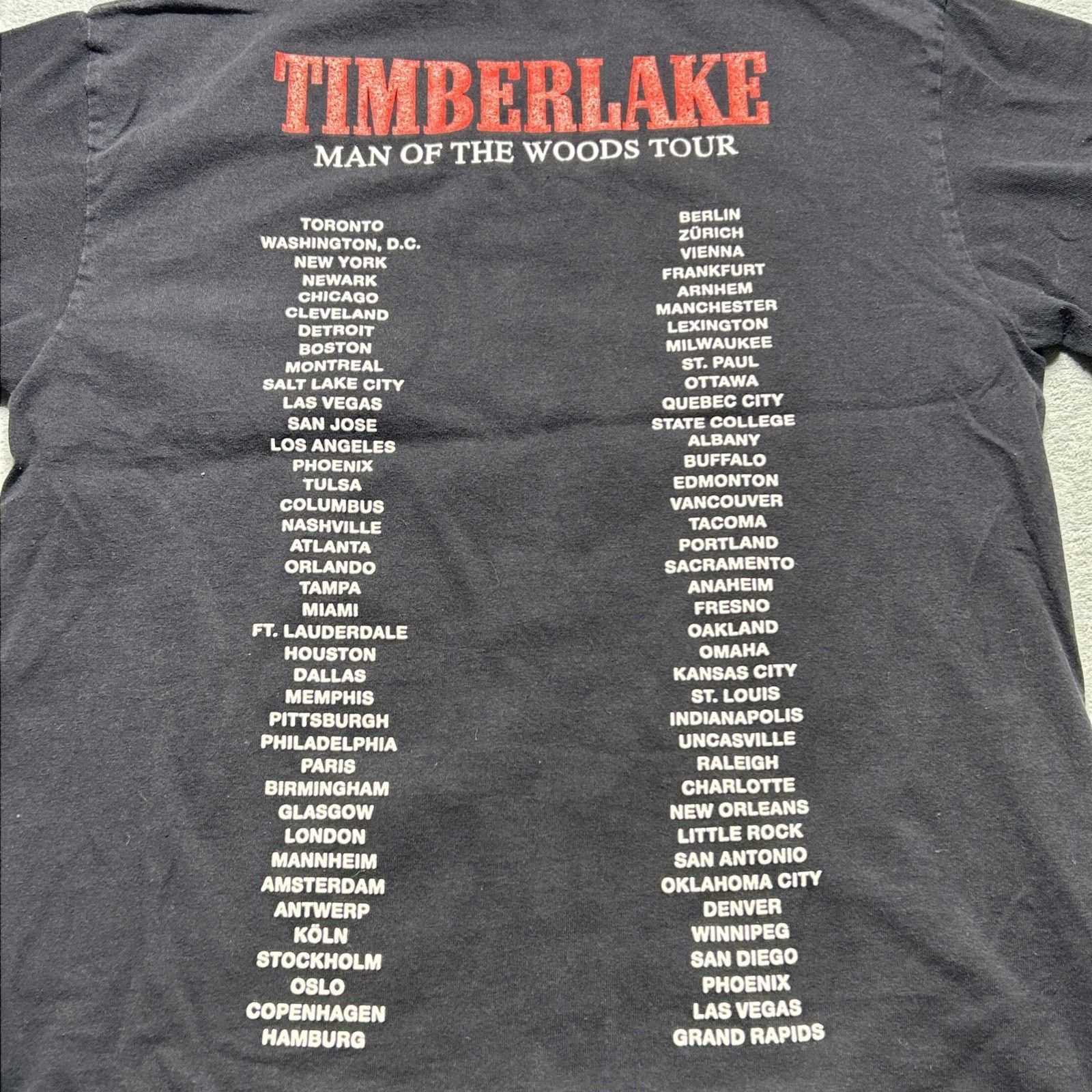 Hanes Justin Timberlake T-Shirt Mens Med Man Of The Woods Size US M / EU 48-50 / 2 - 9 Thumbnail