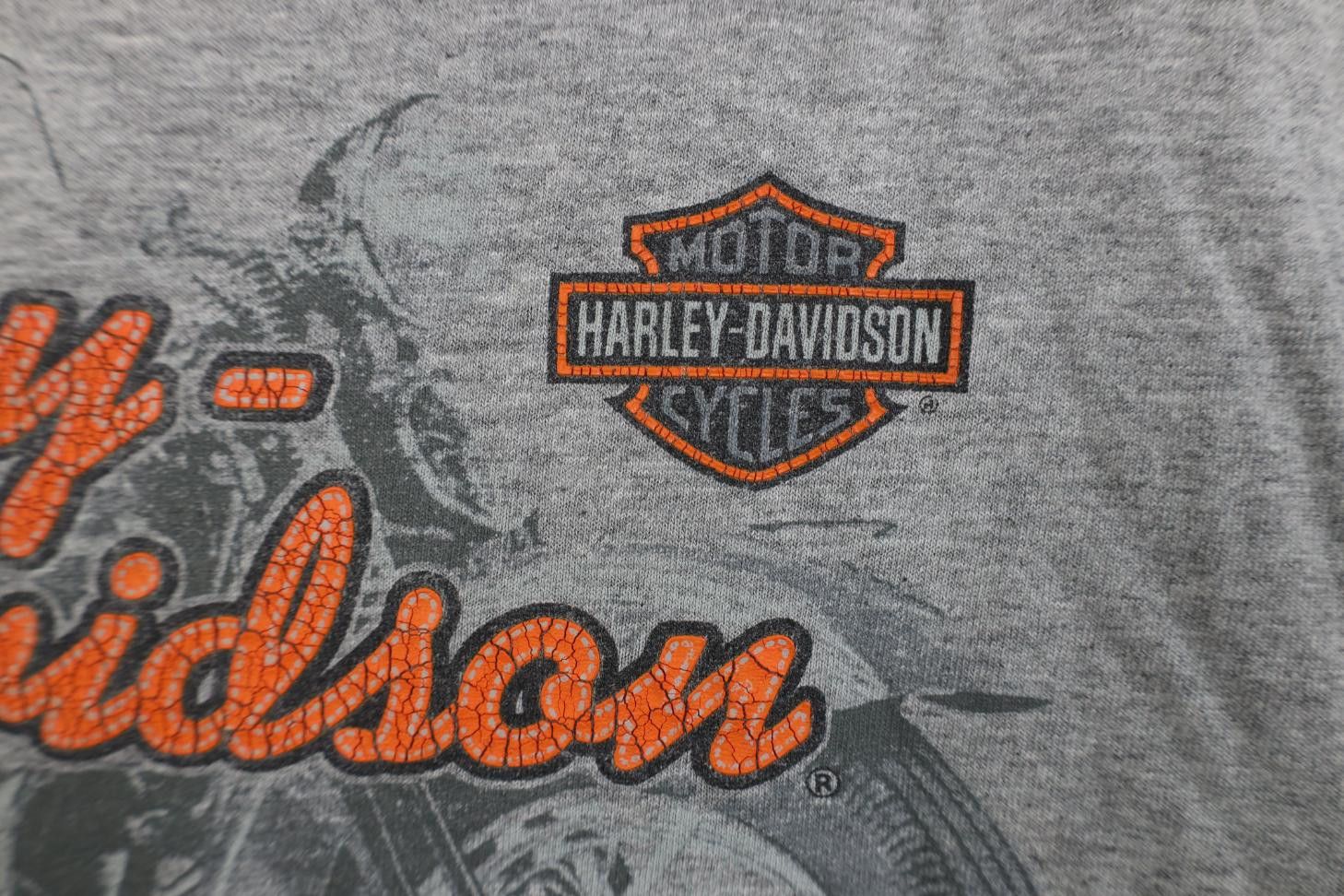 Harley Davidson Vintage Y2K 2003 Harley Davidson 100 Years T-Shirt Gray USA Size US XL / EU 56 / 4 - 5 Thumbnail