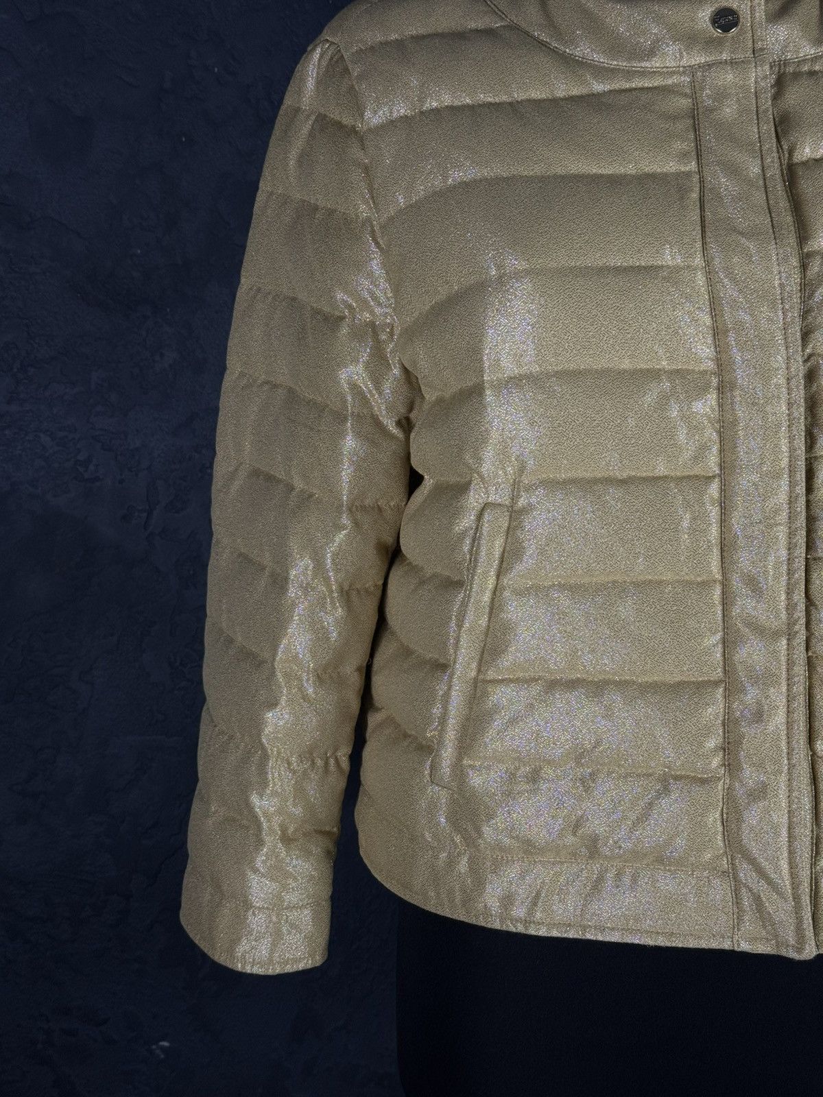 Herno HERNO Lurex Quilted Down Jacket Size L / US 10 / IT 46 - 3 Thumbnail
