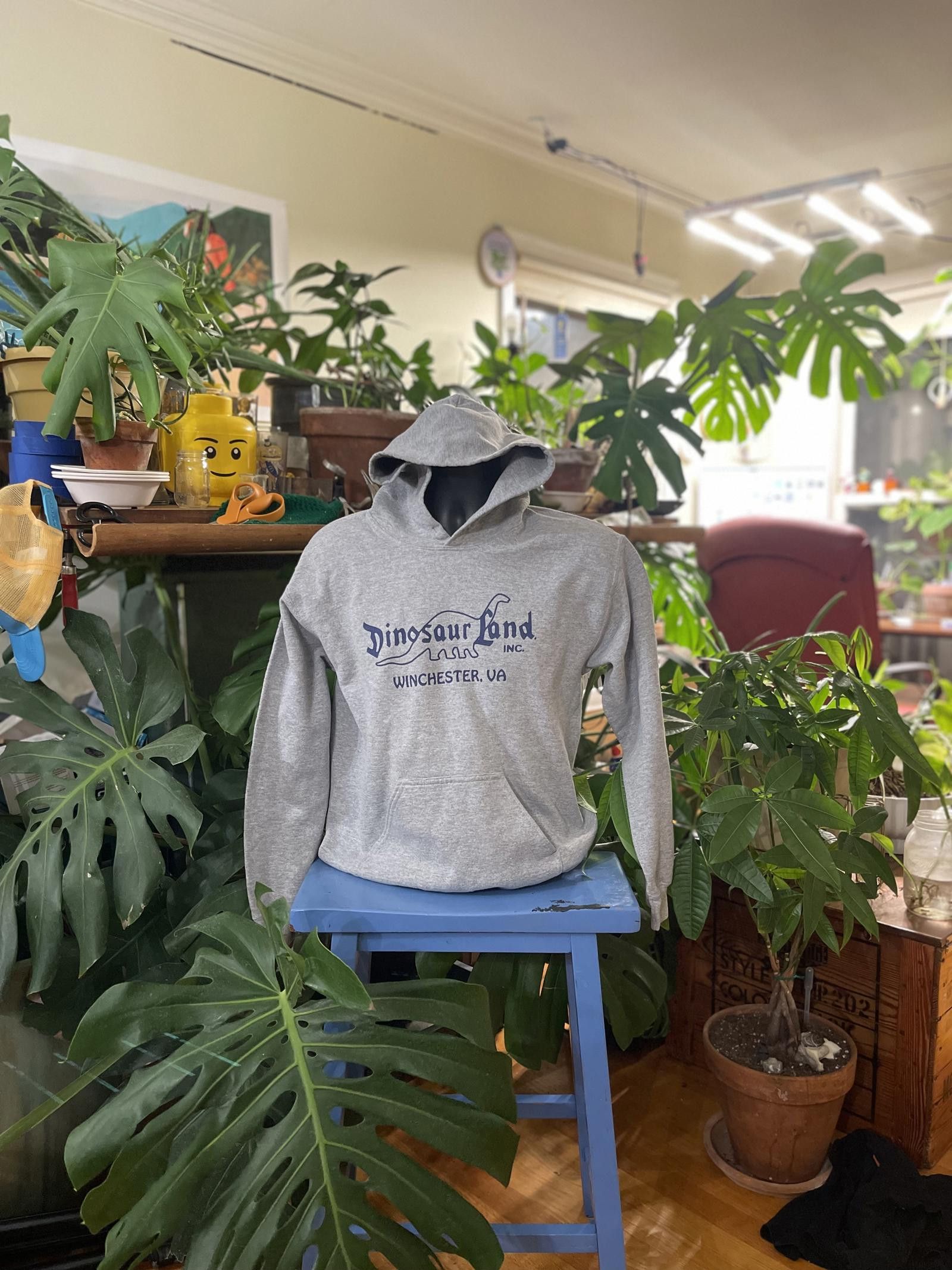 Gildan Vintage Dinosaur Land Hoodie from Winchester, VA Size US XXS / EU 40 - 1 Thumbnail