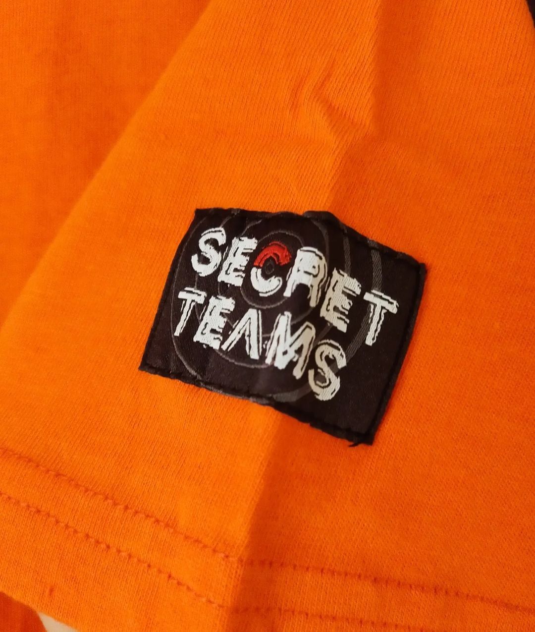 Anime × Japanese Brand × Pokemon Pokemon Center 2016 Secret Teams Campaign Anime Tees Size US M / EU 48-50 / 2 - 3 Thumbnail