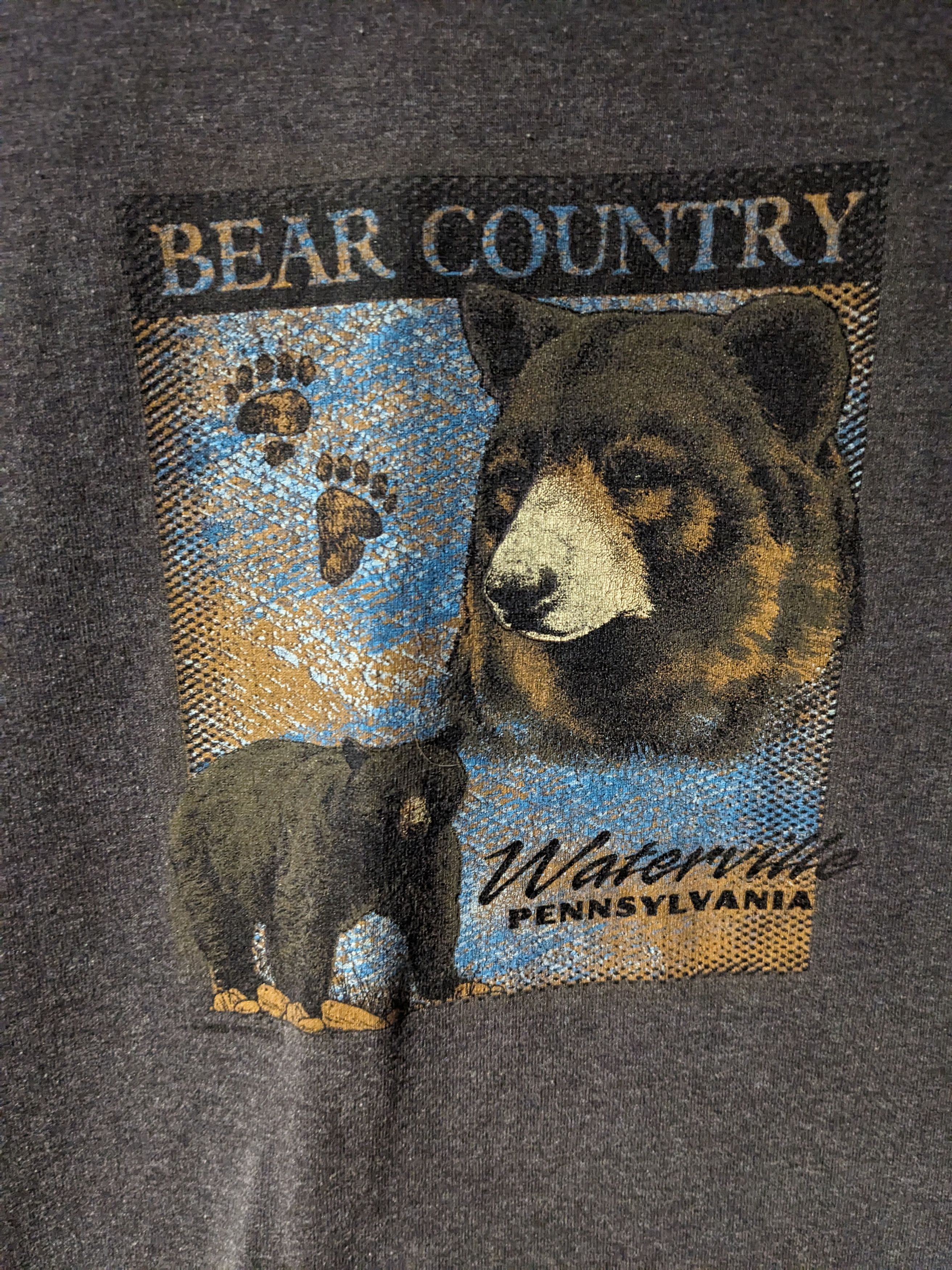 The Mountain × Vintage Vintage 90s Bear Country Waterville Pennsylvania T-Shirt Size US XL / EU 56 / 4 - 2 Thumbnail