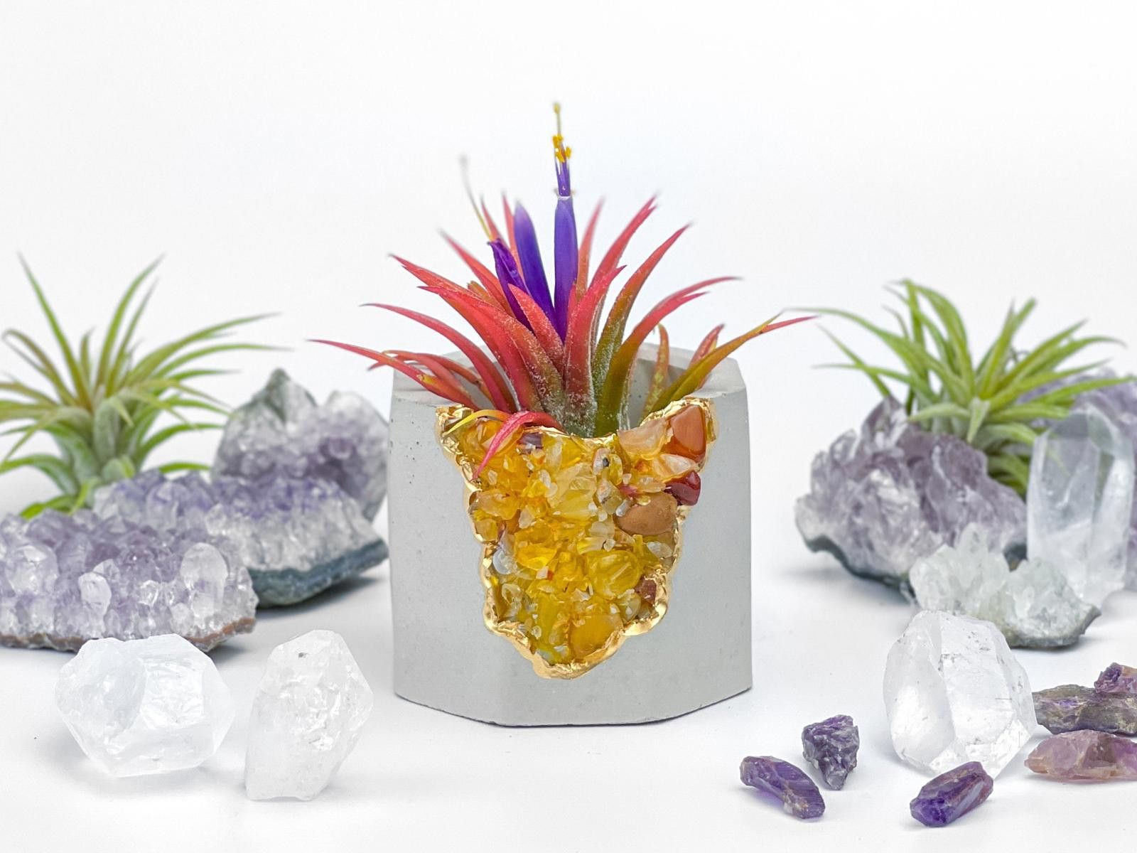 Other Yellow Agate Crystal Air Plant Holder Succulent Planter Size ONE SIZE - 1 Thumbnail