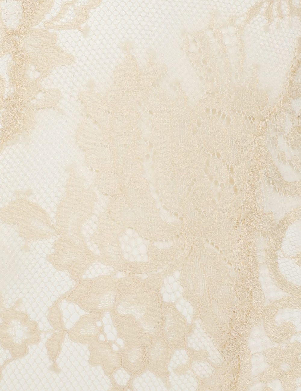 Zimmermann oc11z0725 Illustration Lace Bodysuit in Cream Size L / US 10 / IT 46 - 6 Thumbnail