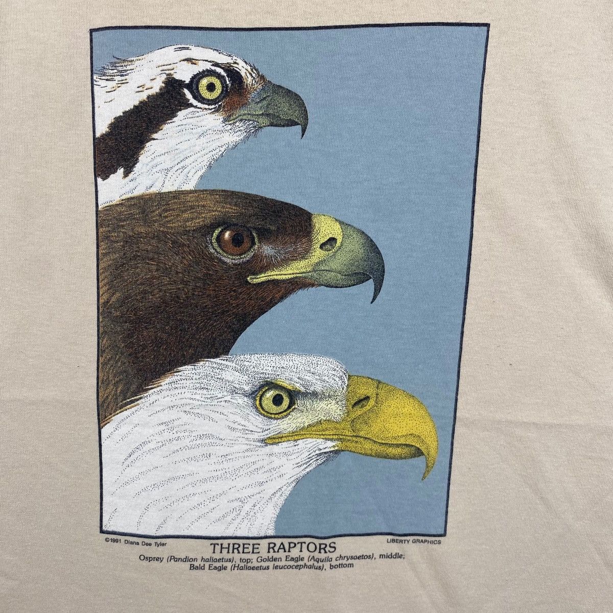 Vintage Vintage 90's EAGLES Three Raptors Diana Dee Tyler Graphic Size US L / EU 52-54 / 3 - 2 Thumbnail