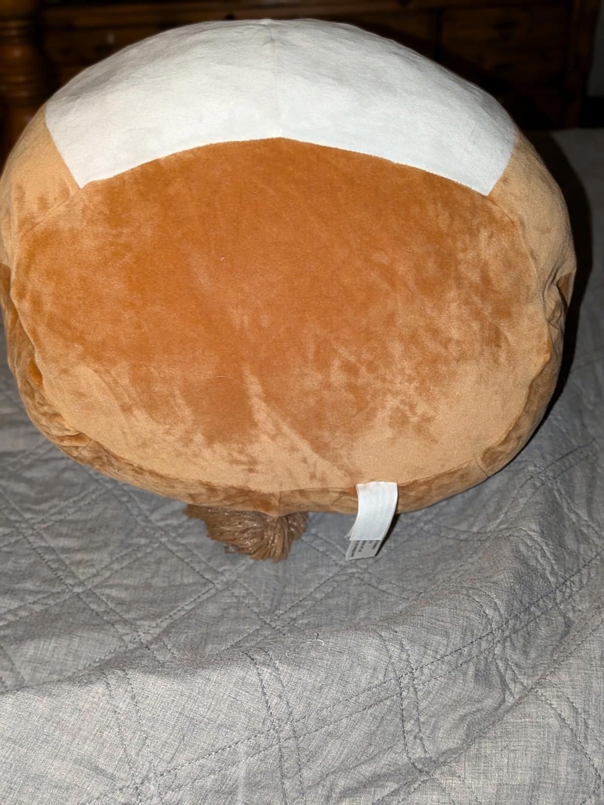 Designer Rare Sawyer the Squirrel 16" Squishmallow Stuffed Animal Size ONE SIZE - 2 Thumbnail