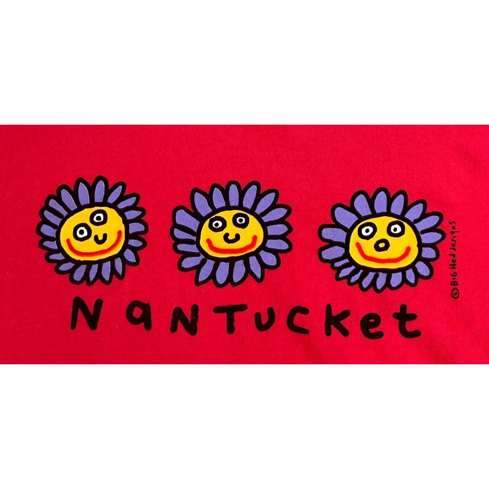 Vintage VINTAGE Nantucket Big Hed Designs Oneita T-Shirt XL Pink Unisex Adults 90s 90s Nature Short Sleeve Crew Neck Single Stitch Mens Womens Boys Girls Size US XL / EU 56 / 4 - 4 Thumbnail