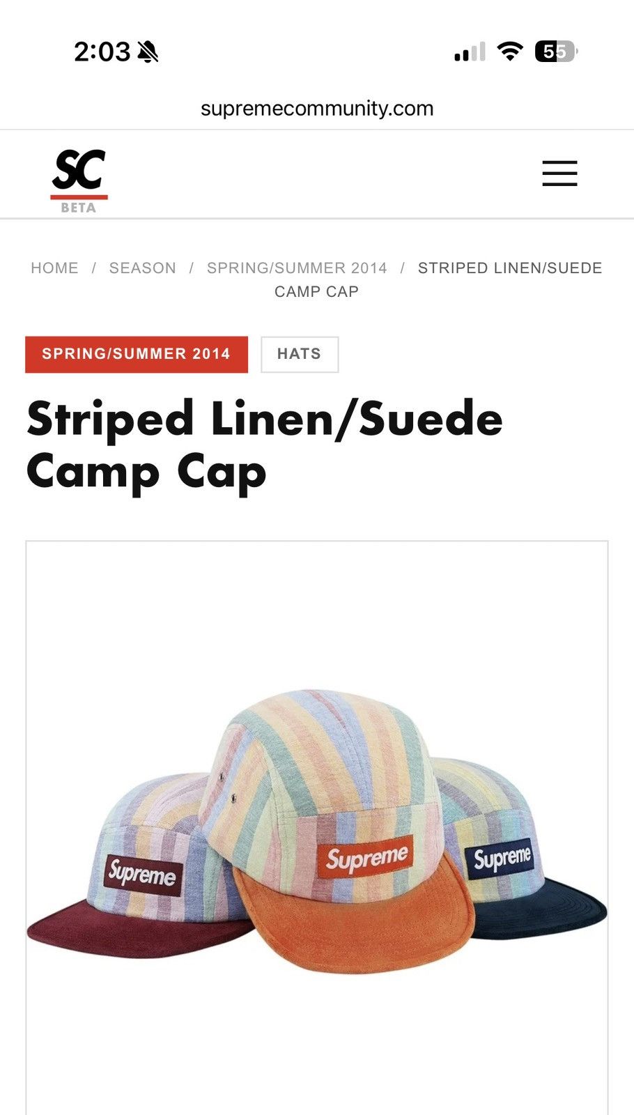 Supreme Supreme SS14 - Striped Linen/Suede Camp Cap Size ONE SIZE - 4 Thumbnail