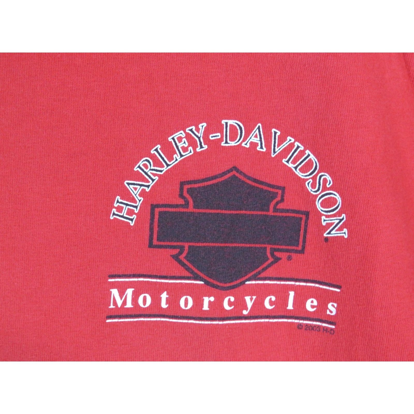 Harley Davidson Harley-Davidson T-Shirt L Men Multicolor Motorcycle Motorcycle USA Lakeville MN Twin Cities 90s? Size US L / EU 52-54 / 3 - 4 Thumbnail