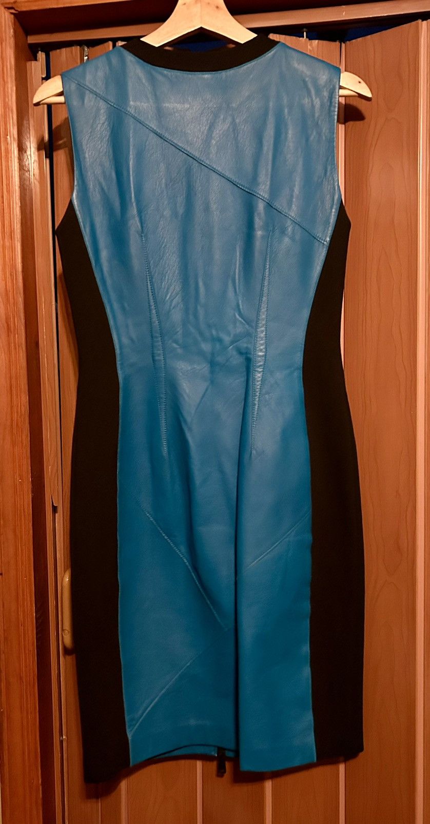 Elie Tahari Elle Thari Mila lambskin leather dress Size M / US 6-8 / IT 42-44 - 4 Thumbnail