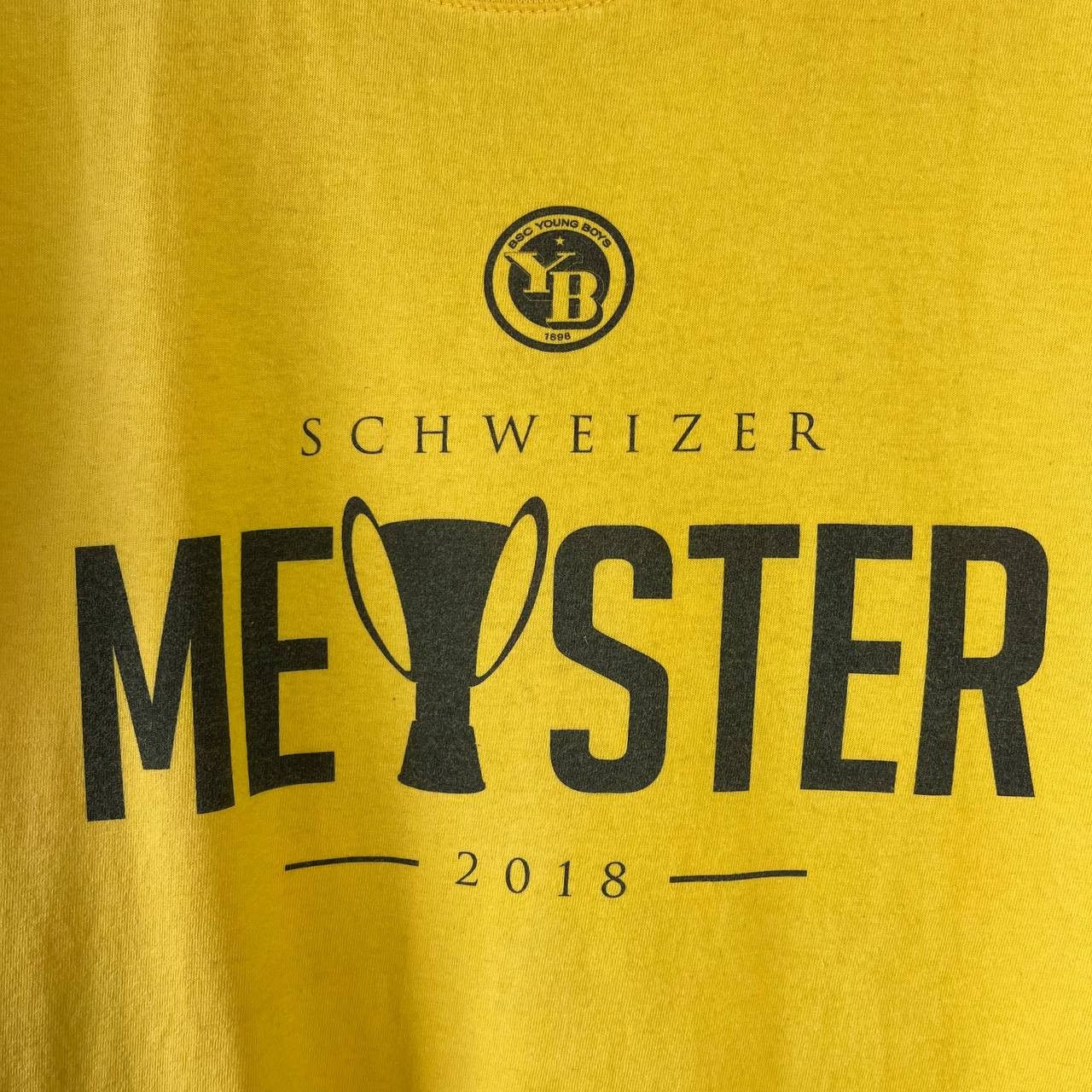 Fruit Of The Loom BSC Young Boys 2018 Football Soccer Supporter Tshirt Size US M / EU 48-50 / 2 - 3 Thumbnail