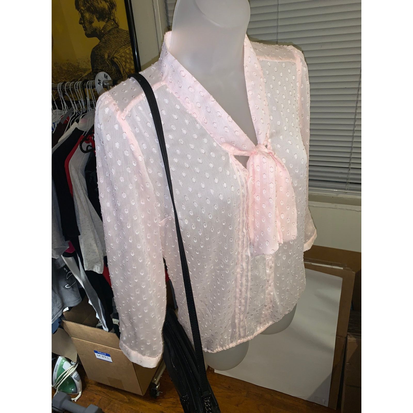 Other RW&CO Sheer Pink Swiss Dot Blouse XS Tie Neck See Through Size XS / US 0-2 / IT 36-38 - 1 Thumbnail