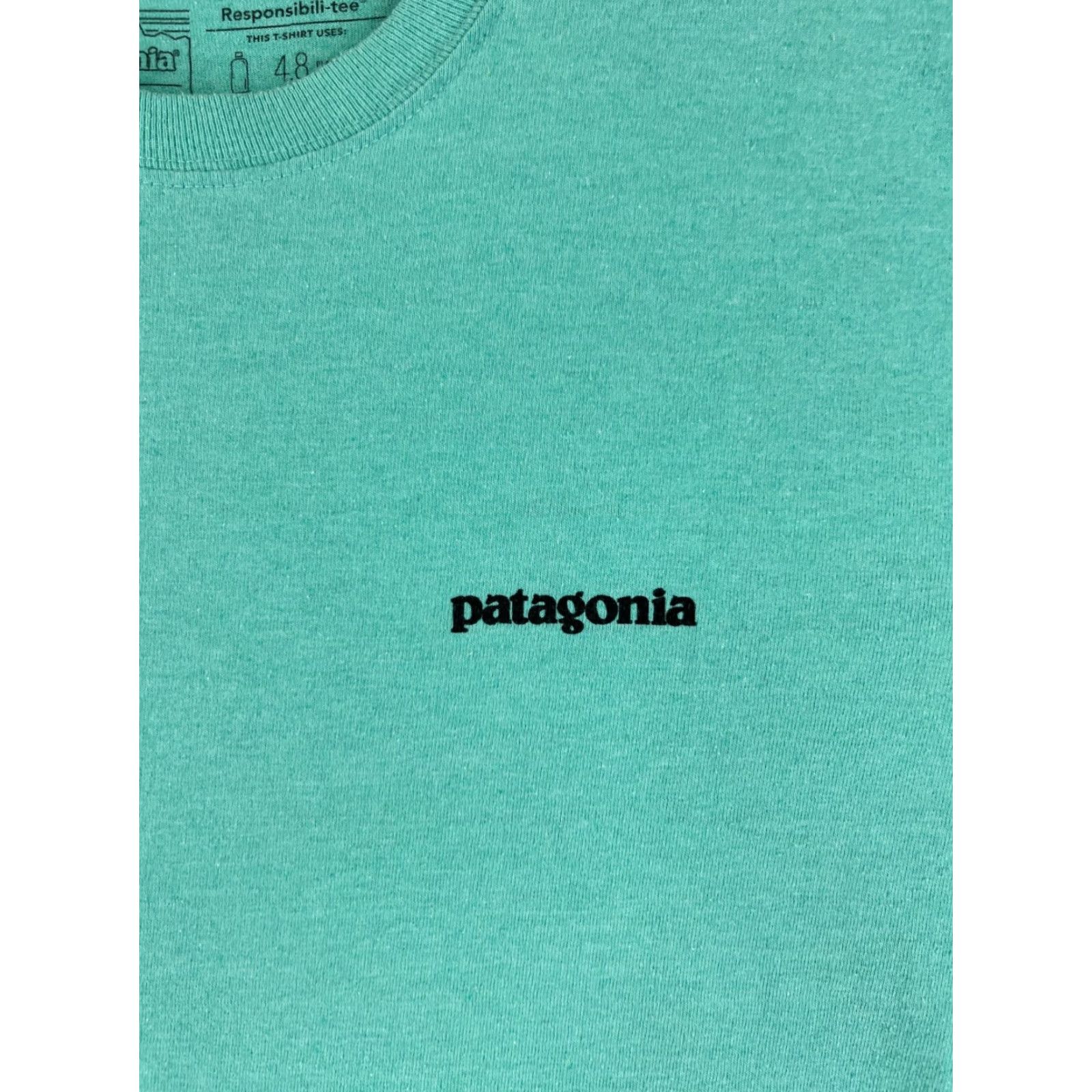 Patagonia Patagonia Shirt Men’s T-Shirt Long Sleeve Teal Logo Fitz Roy Print 39161 All Seasons Breathable Size US S / EU 44-46 / 1 - 6 Thumbnail