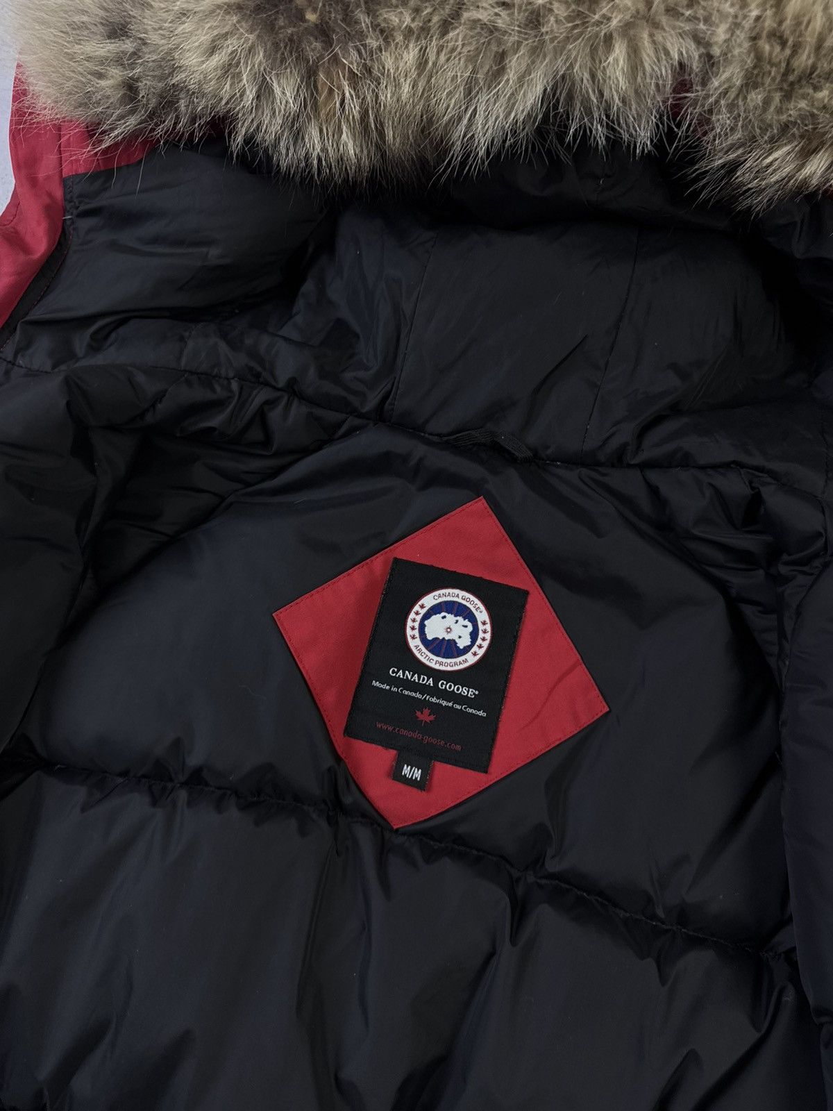 Canada Goose Canada Goose Chilliwack Bomber Size US M / EU 48-50 / 2 - 10 Thumbnail