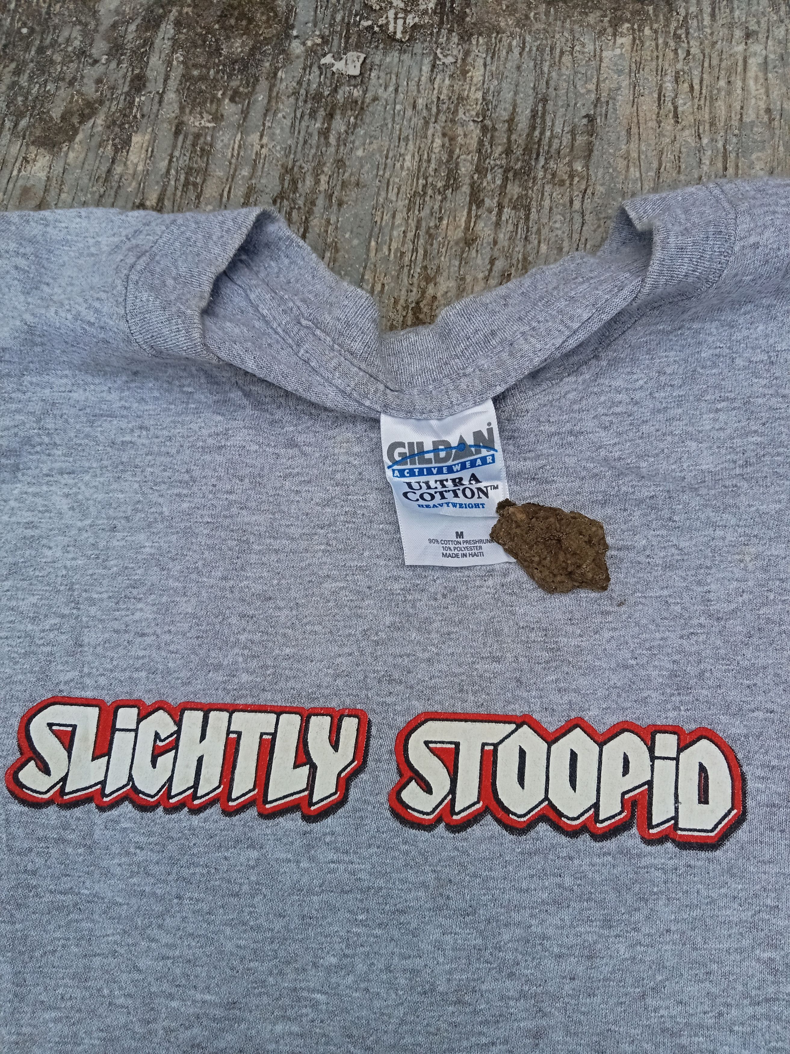 Band Tees × Gildan × Vintage Slightly Stoopid Band Tee Shirt Size US M / EU 48-50 / 2 - 6 Thumbnail