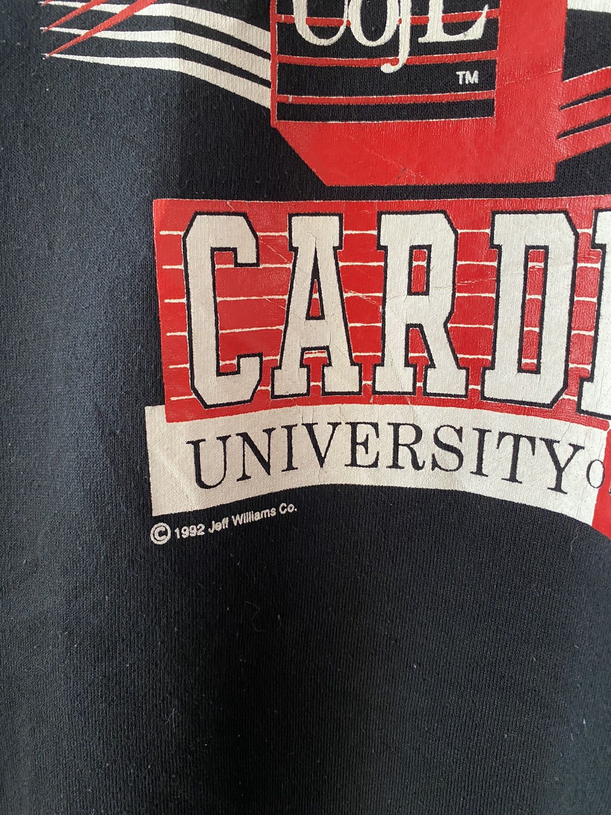 Vintage Vintage Louisville Cardinals Crewneck Size US L / EU 52-54 / 3 - 4 Thumbnail