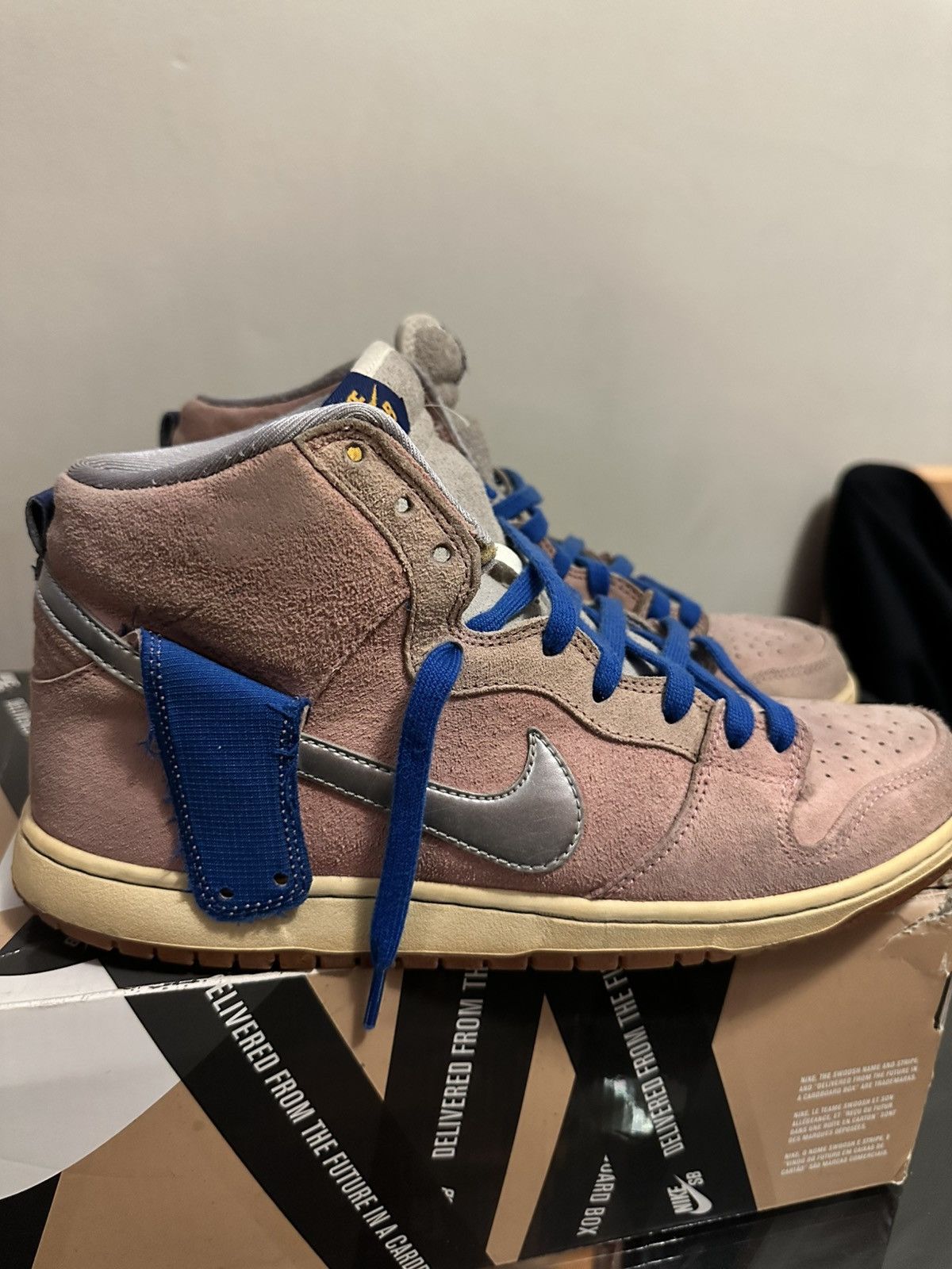 Nike SB Nike SB When Pigs Fly Size US 11 / EU 44 - 10 Thumbnail