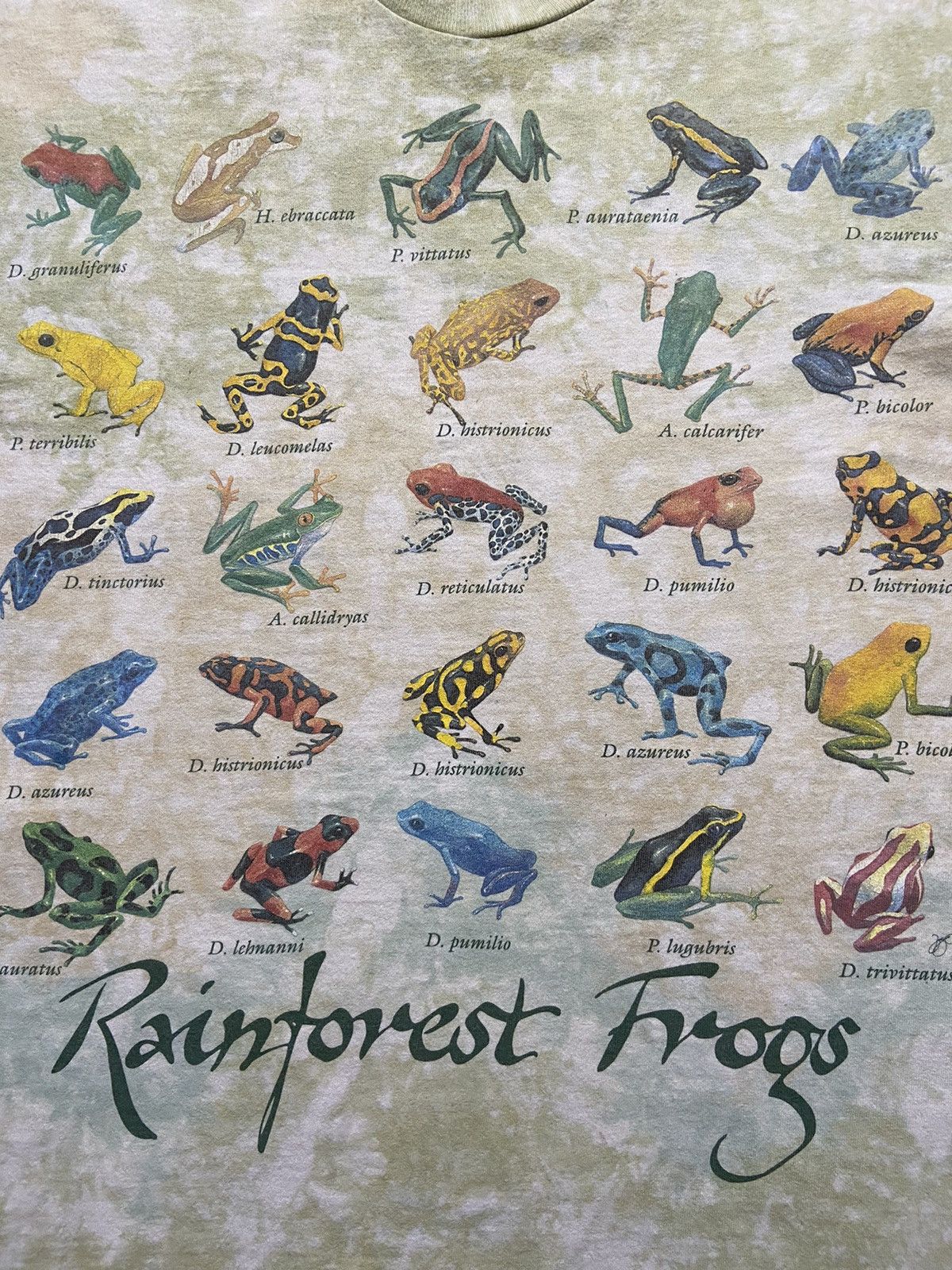 Liquid Blue Liquid Blue 1993 Rainforest Frogs USA Tee Size US L / EU 52-54 / 3 - 2 Thumbnail