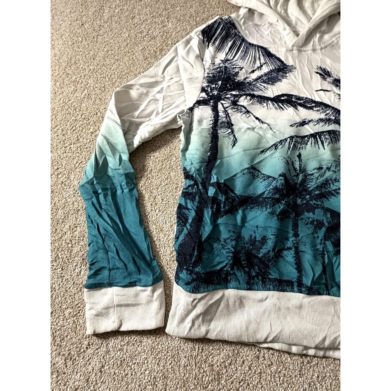 Aeropostale Aeropostale Mens Medium Blue Palm Tree Graphic Hoodie Sweatshirt Size US M / EU 48-50 / 2 - 2 Thumbnail