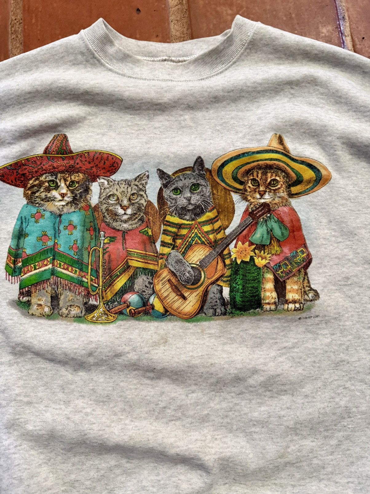 Fruit Of The Loom Mariachi Gatos Size US XXL / EU 58 / 5 - 2 Thumbnail