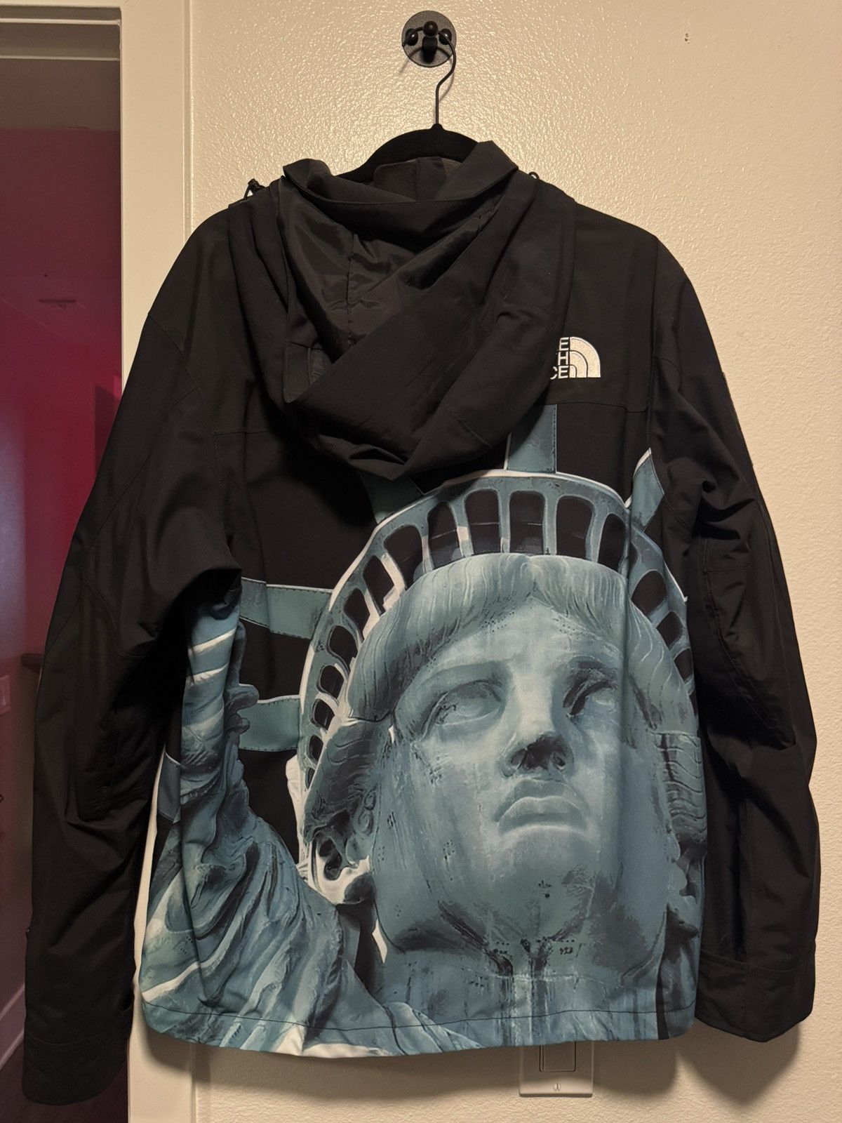 Supreme Supreme The North Face Statue of Liberty Mountain Jacket Size US M / EU 48-50 / 2 - 7 Thumbnail