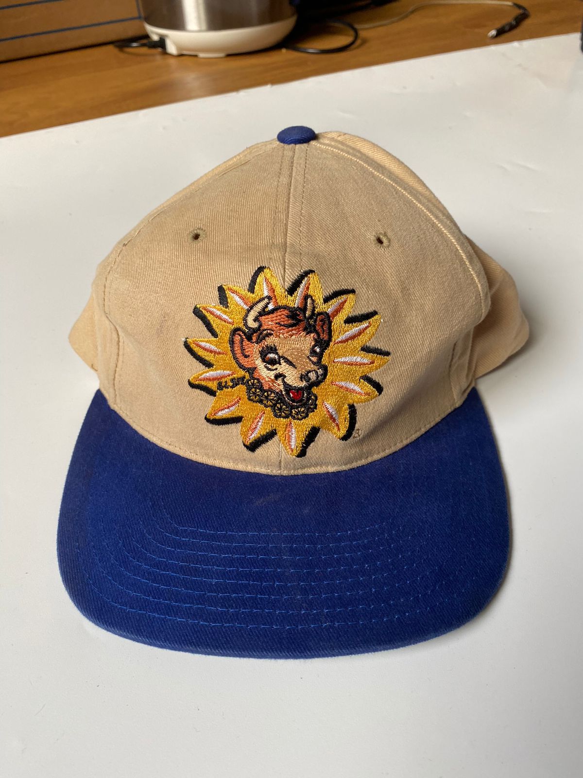 zorlac cap Zorlac スケートボード キャップ ゾーラック 希少