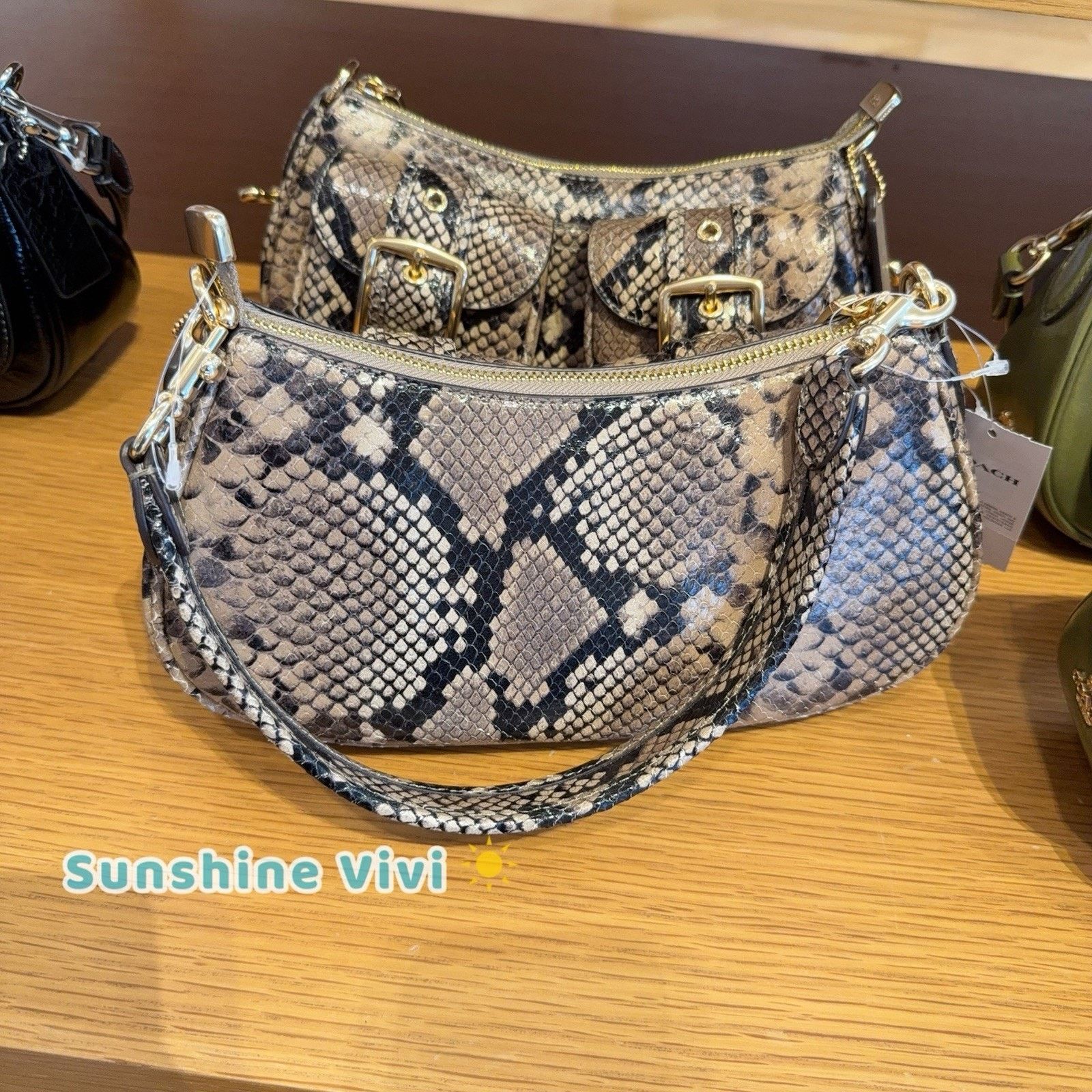 Coach NWT Coach Ashton Bag Snake Leather CCE38 Mushroom Multi Size ONE SIZE - 5 Thumbnail