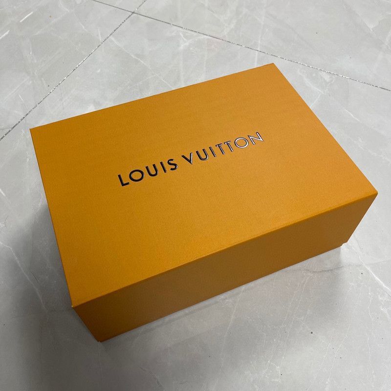 Louis Vuitton Louis Vuitton Trainer Low-Top Fashion Sneakers -2508 Size US 8 / EU 41 - 4 Thumbnail