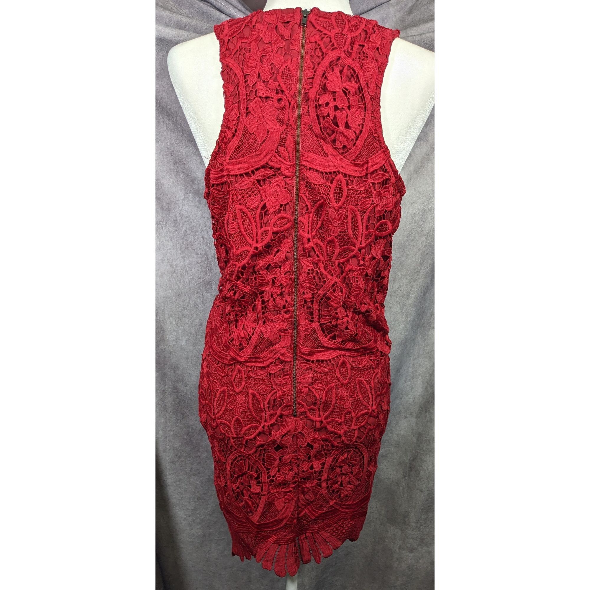 Lovers and Friends Lovers + Friends Caspian Red Lace Shift Dress Size Large Size L / US 10 / IT 46 - 9 Thumbnail