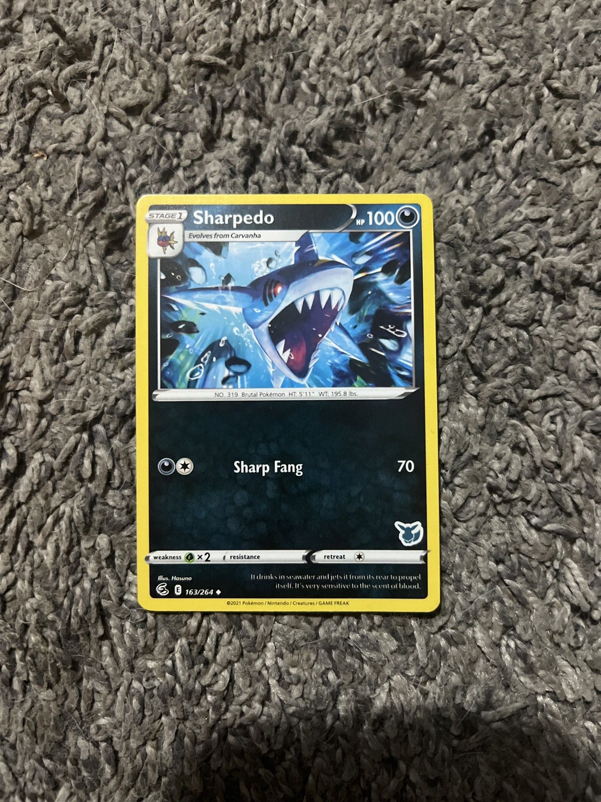 Pokemon 2021 Pokémon Sharpedo Stage 1 Card Size ONE SIZE - 1 Thumbnail