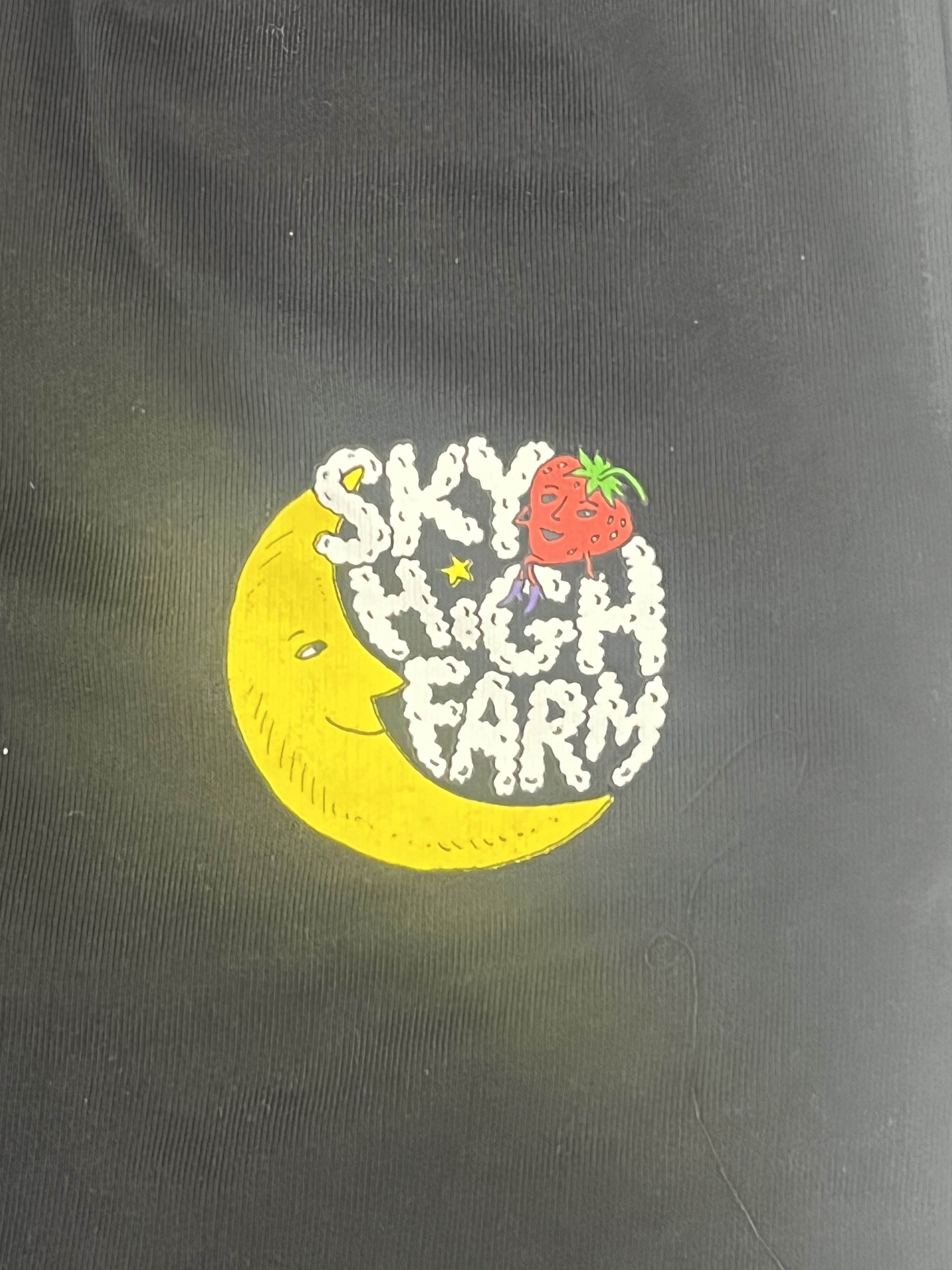 Sky High Farm Workwear Sky High Farm Black Sweatpant – M – Deadstock Size US 32 / EU 48 - 4 Thumbnail