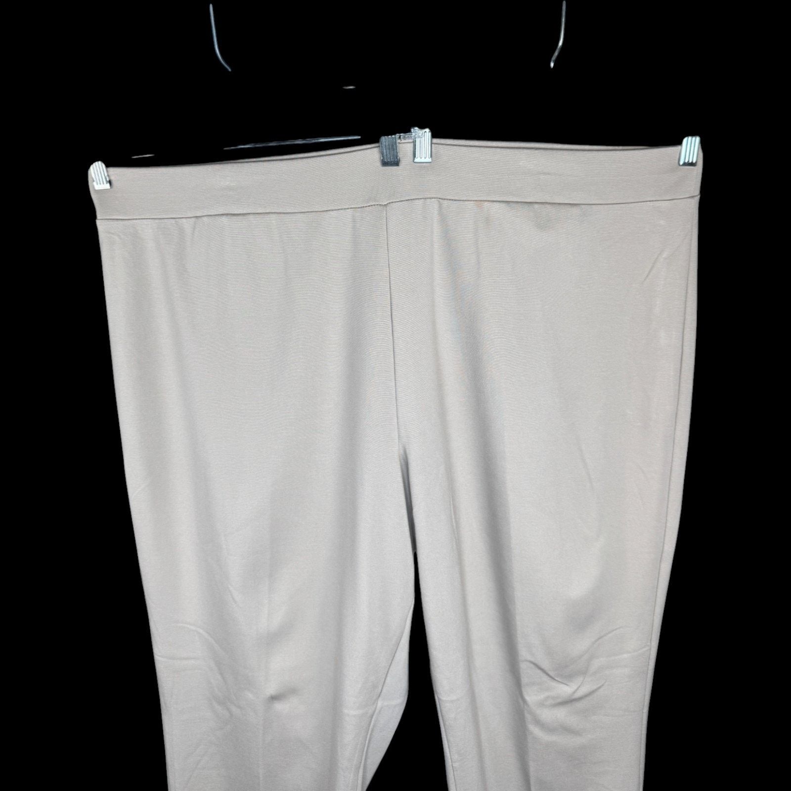 Other SUSAN GRAVER Everyday Slim Leg Pants Beige Stretch 3X NWT Size 36" / US 14 / IT 50 - 4 Thumbnail