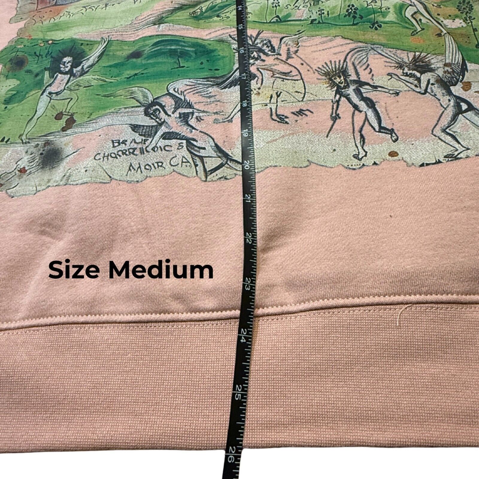 Other Gifted LA Monde Hoodie Pink Graphic Pullover Size US M / EU 48-50 / 2 - 5 Thumbnail