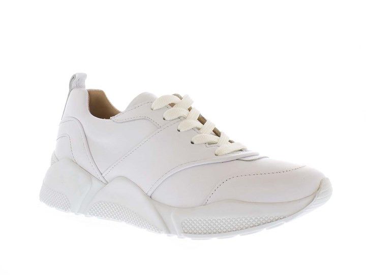 billi bi sneakers dam