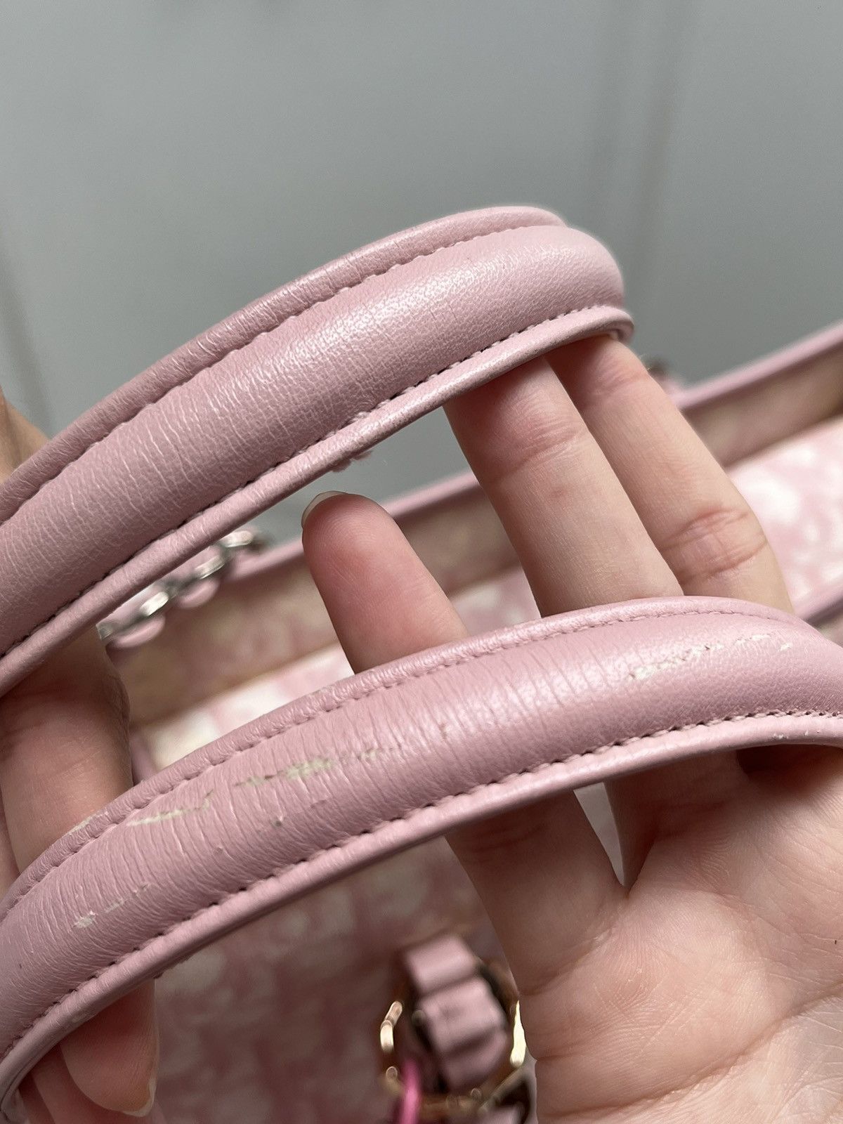 Dior Dior pink trotter romantique tote bag Size ONE SIZE - 10 Thumbnail
