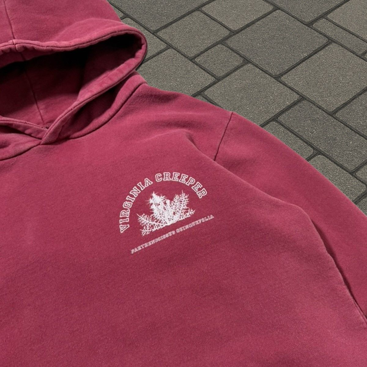 Raf Simons AW02 Raf Simons Red Virginia Creeper Colligate Hoodie Size US S / EU 44-46 / 1 - 2 Thumbnail